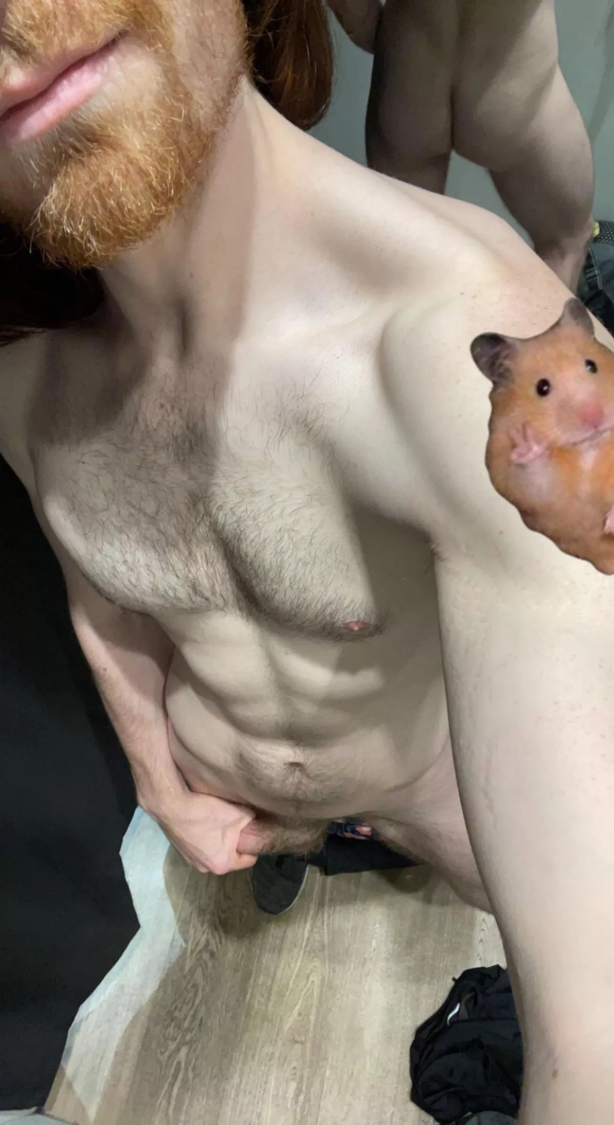 🐹✌🏻