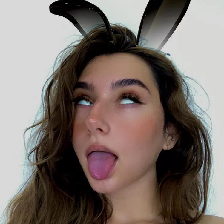 ðŸ–¤ðŸ°