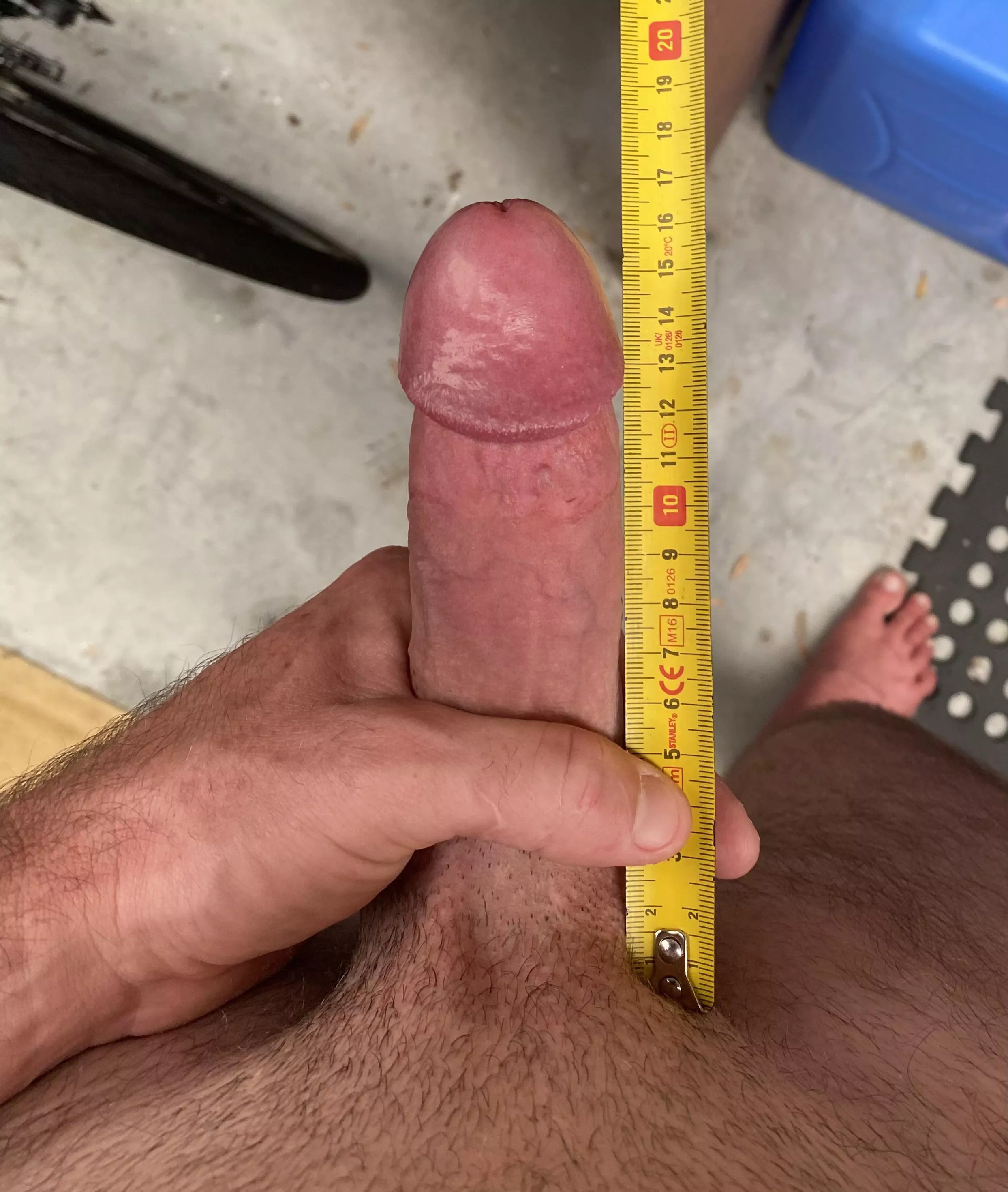 16 long x 15 girth