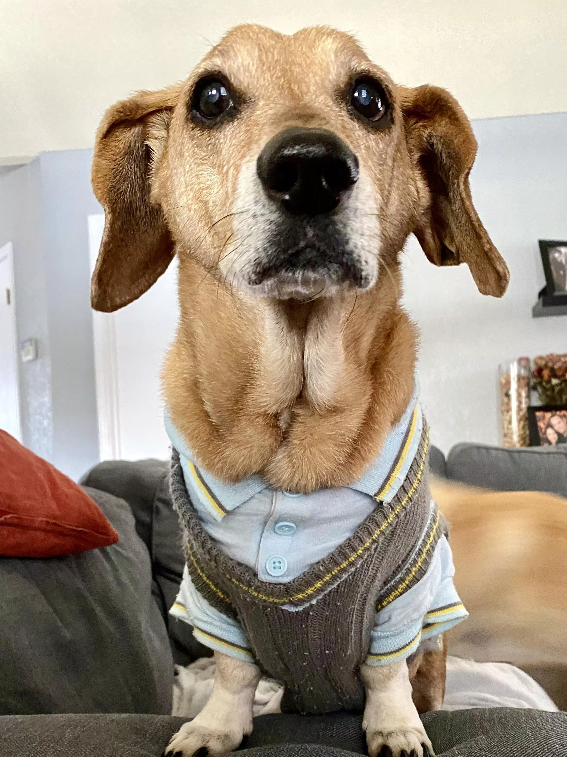 16 years old and looking dapper