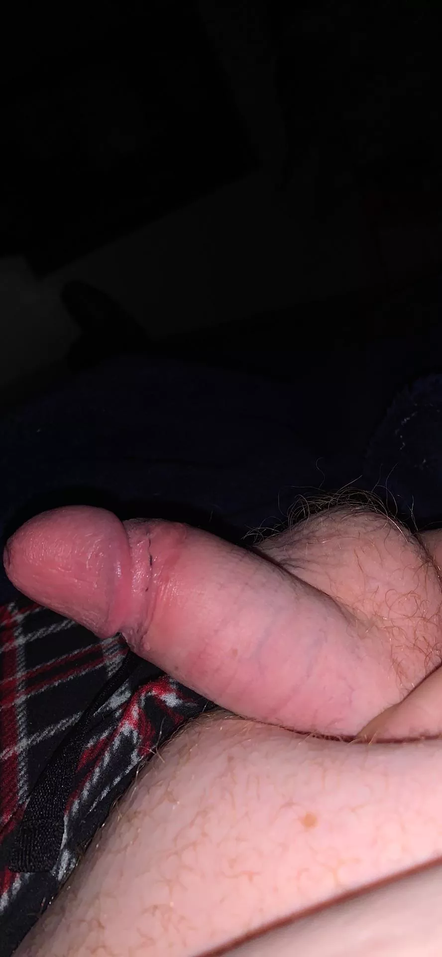 [18] dom, do I got a nice dick?