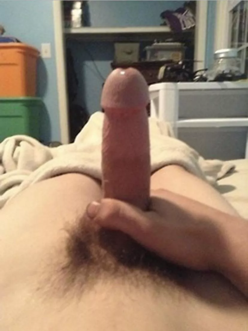 18 twink dick