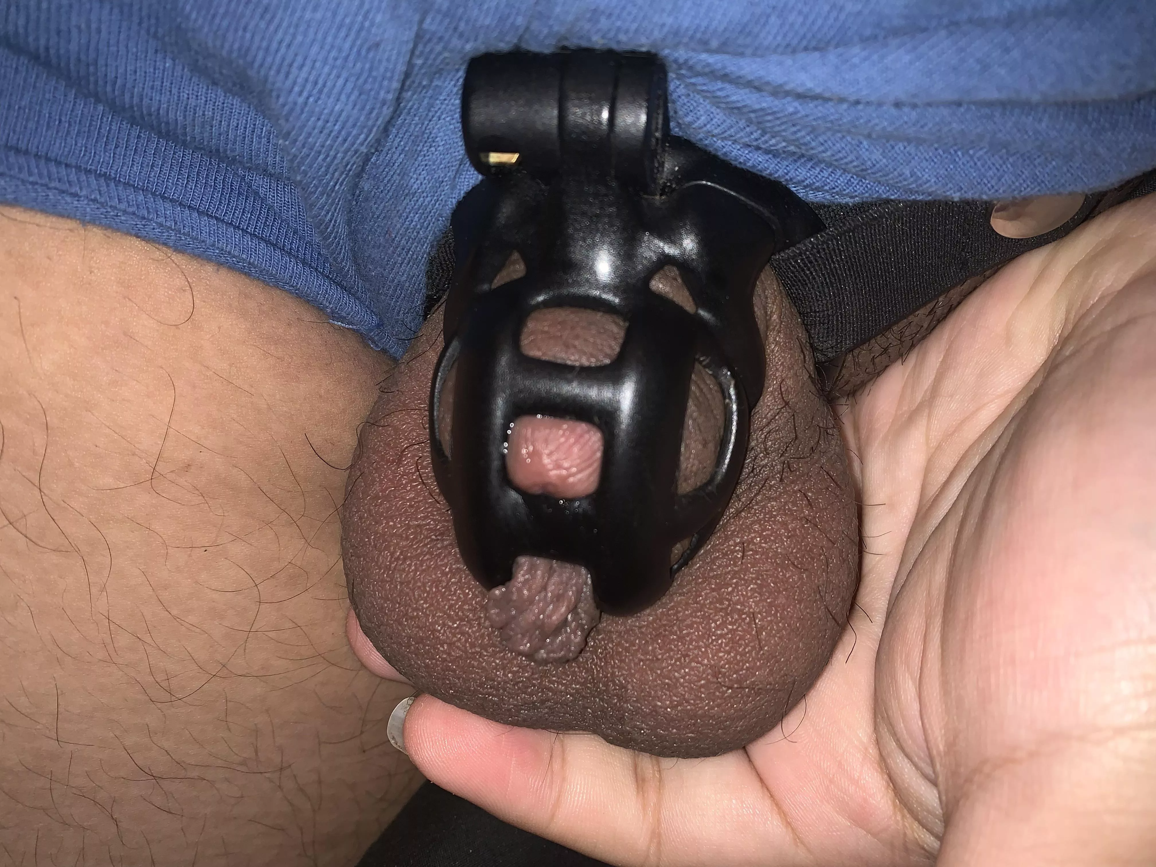 18 y/o - day 25 of locktober, I really have been so horny recently, this really has been my longest time locked ever so farâ€¦ do you think I should stay locked for the rest of 2021?