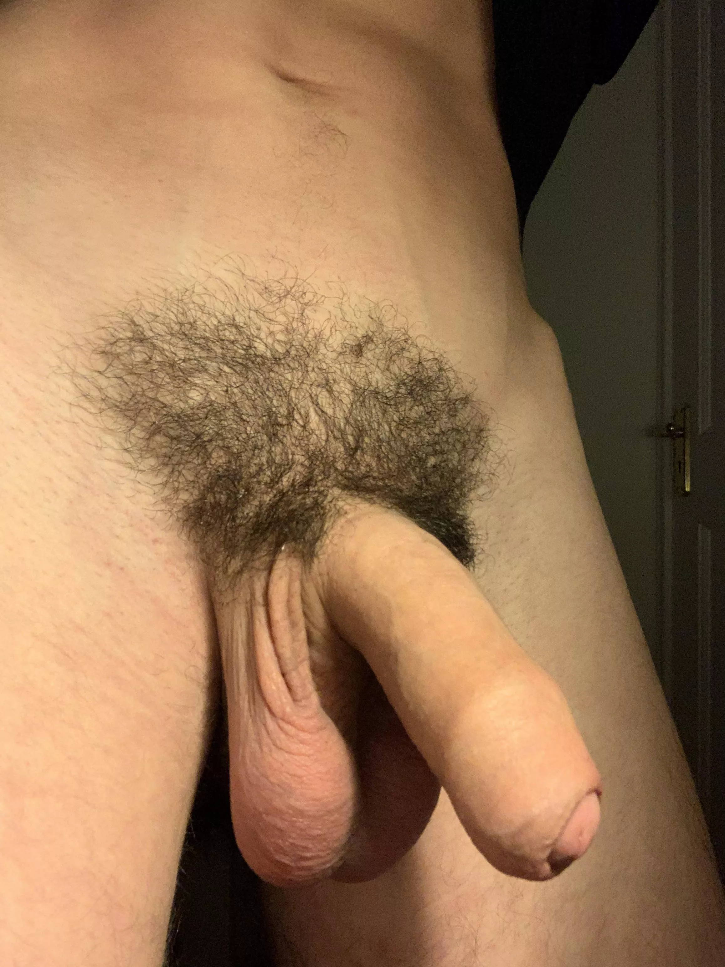 (18M) Anyone here like uncut cocks?