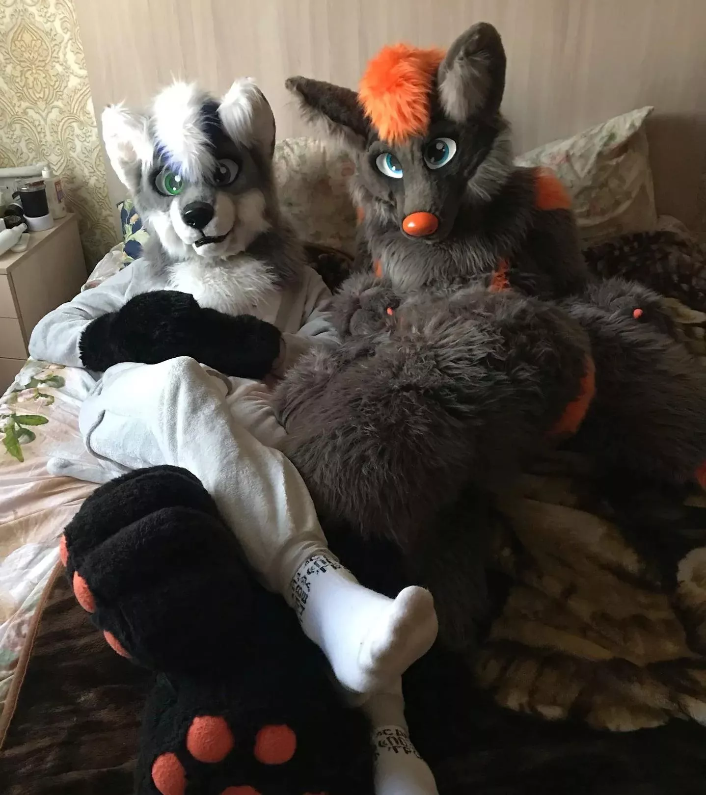 2 Fluffy animals just captured your bed! What you gonna do!?