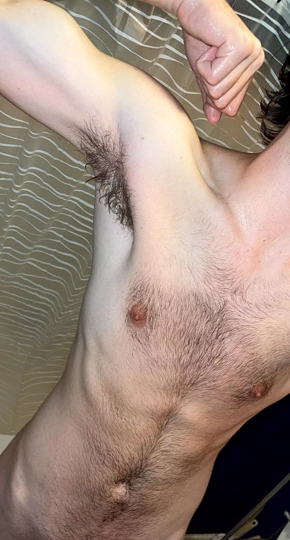 20M. Hairy twink. Regrowing after shaving it 2 months ago.