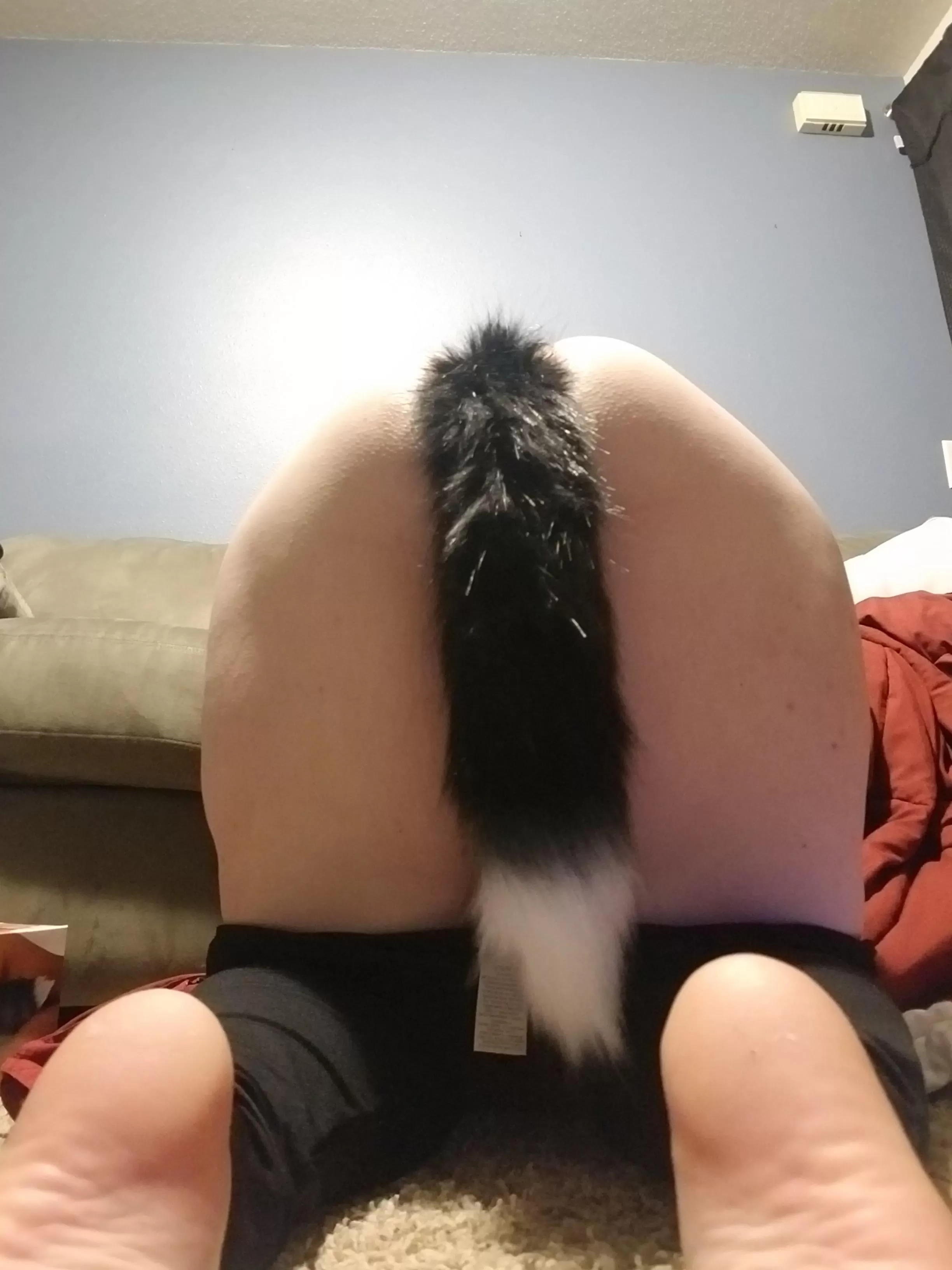 [21F] My first tail!