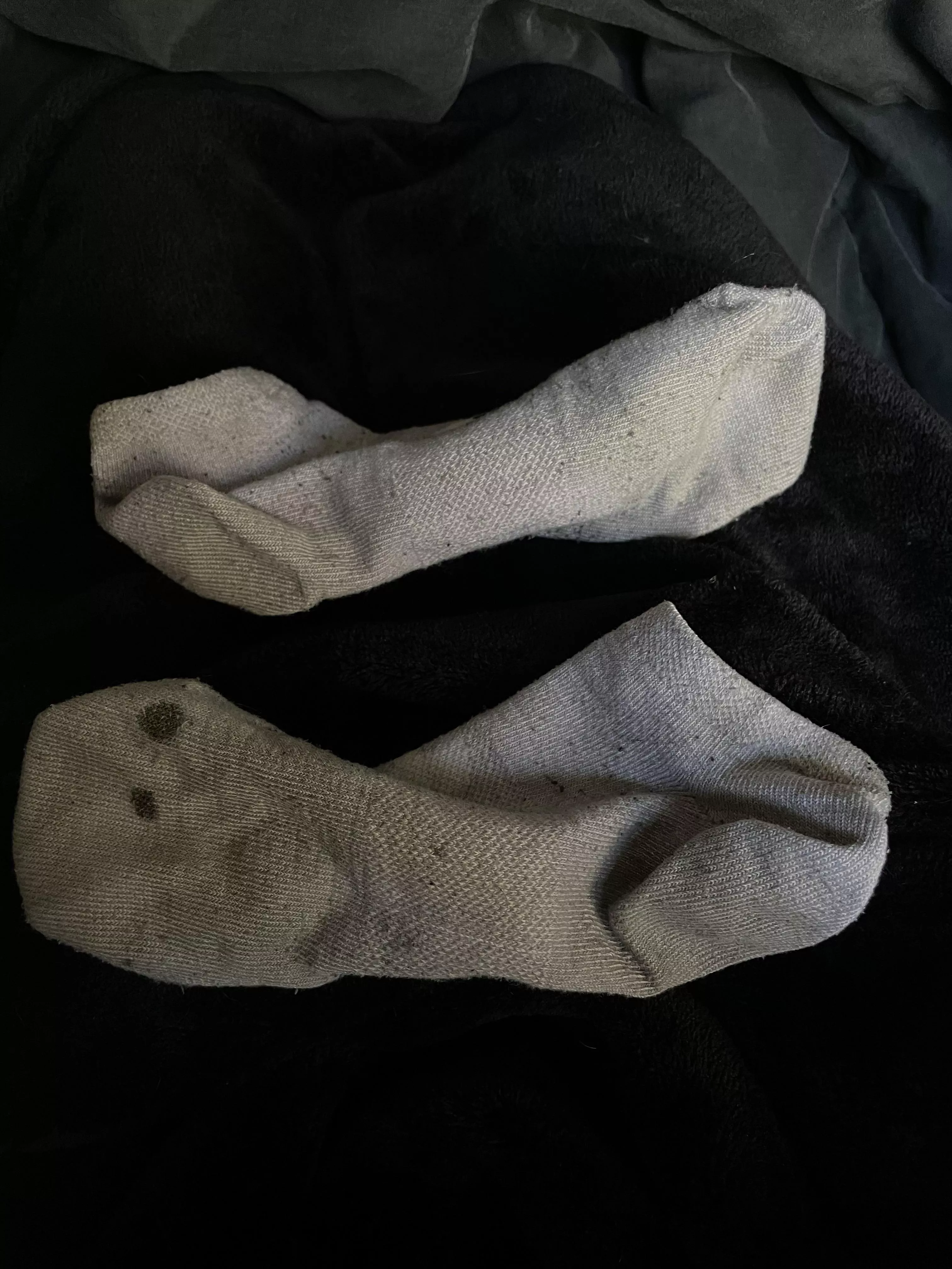 22 y/o girl sweaty stale socks ;) wore these on a road trip for 4 days with no showers And did tonsss of walking in them. Just DM me I know you wanna sniff :)