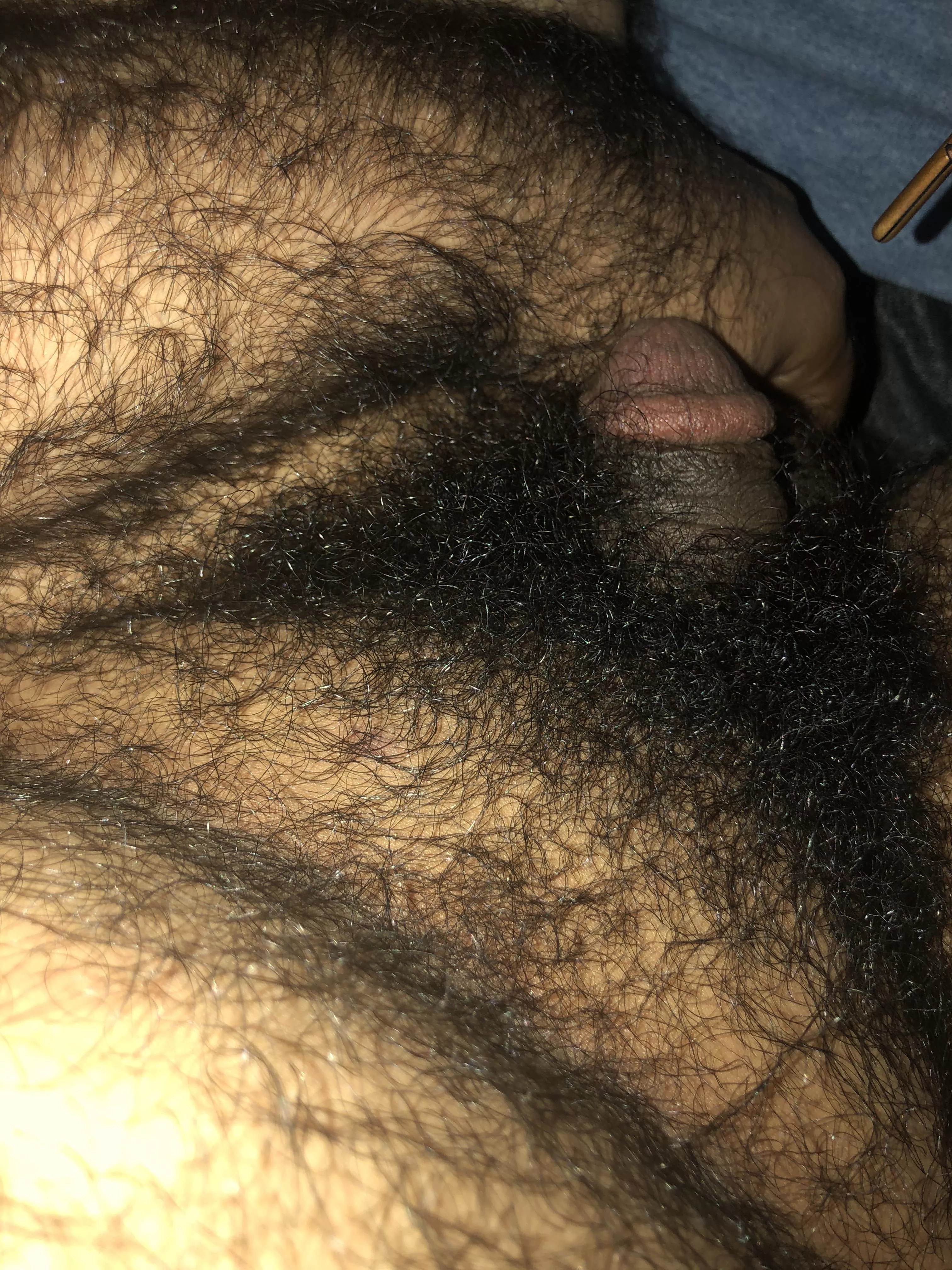 23 hairy curious Arab (soft) snap: Zarab5151 HMU for more 😉