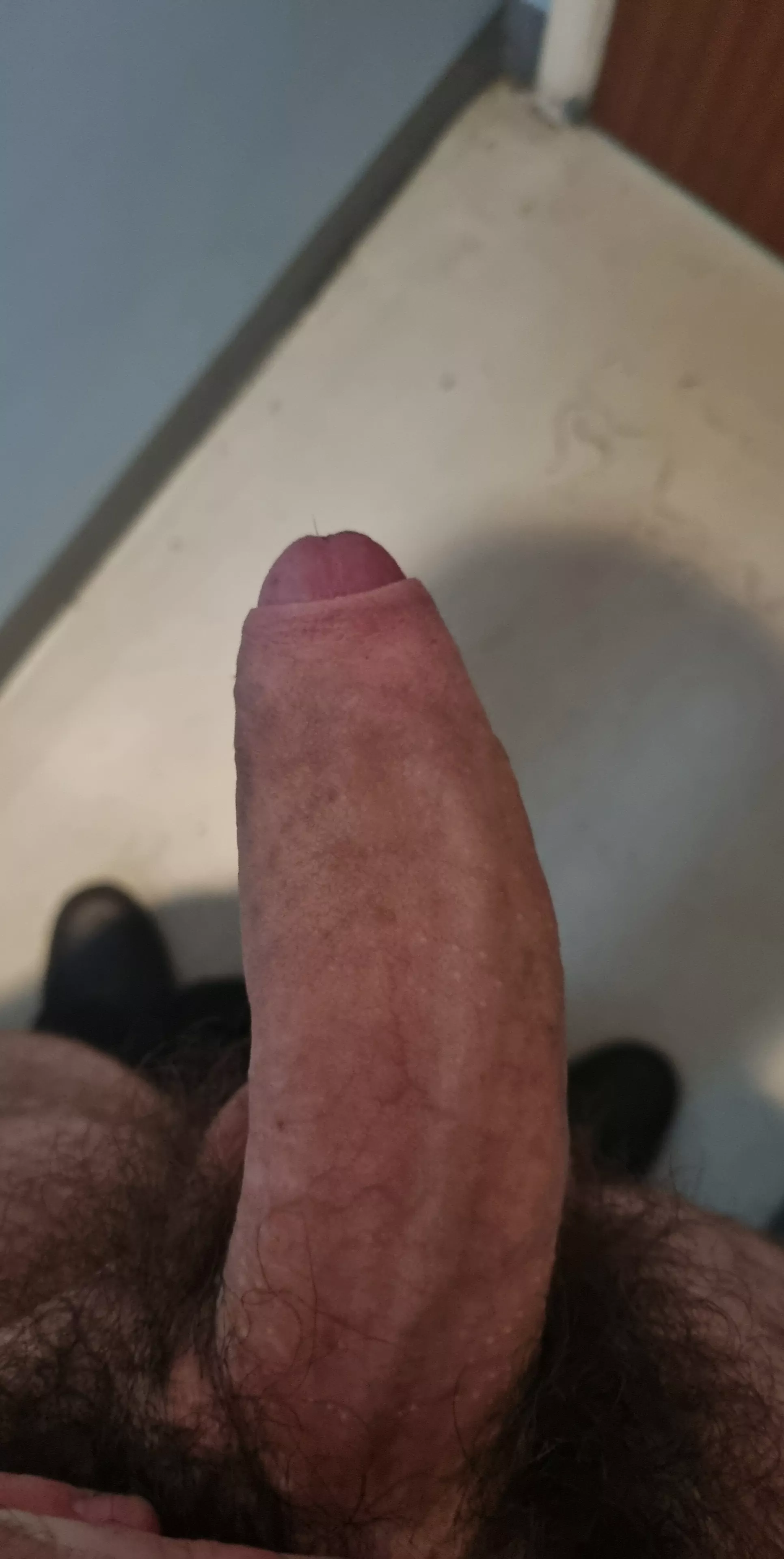 25m if you like what you see message me I need someone to finish the job