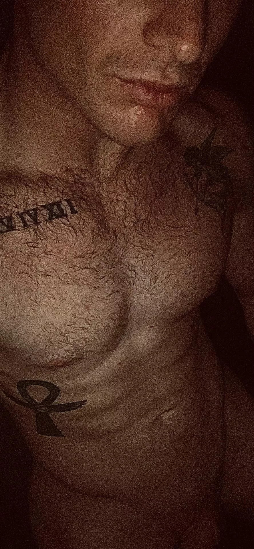 26M experienced Bull for hotwife travels often.