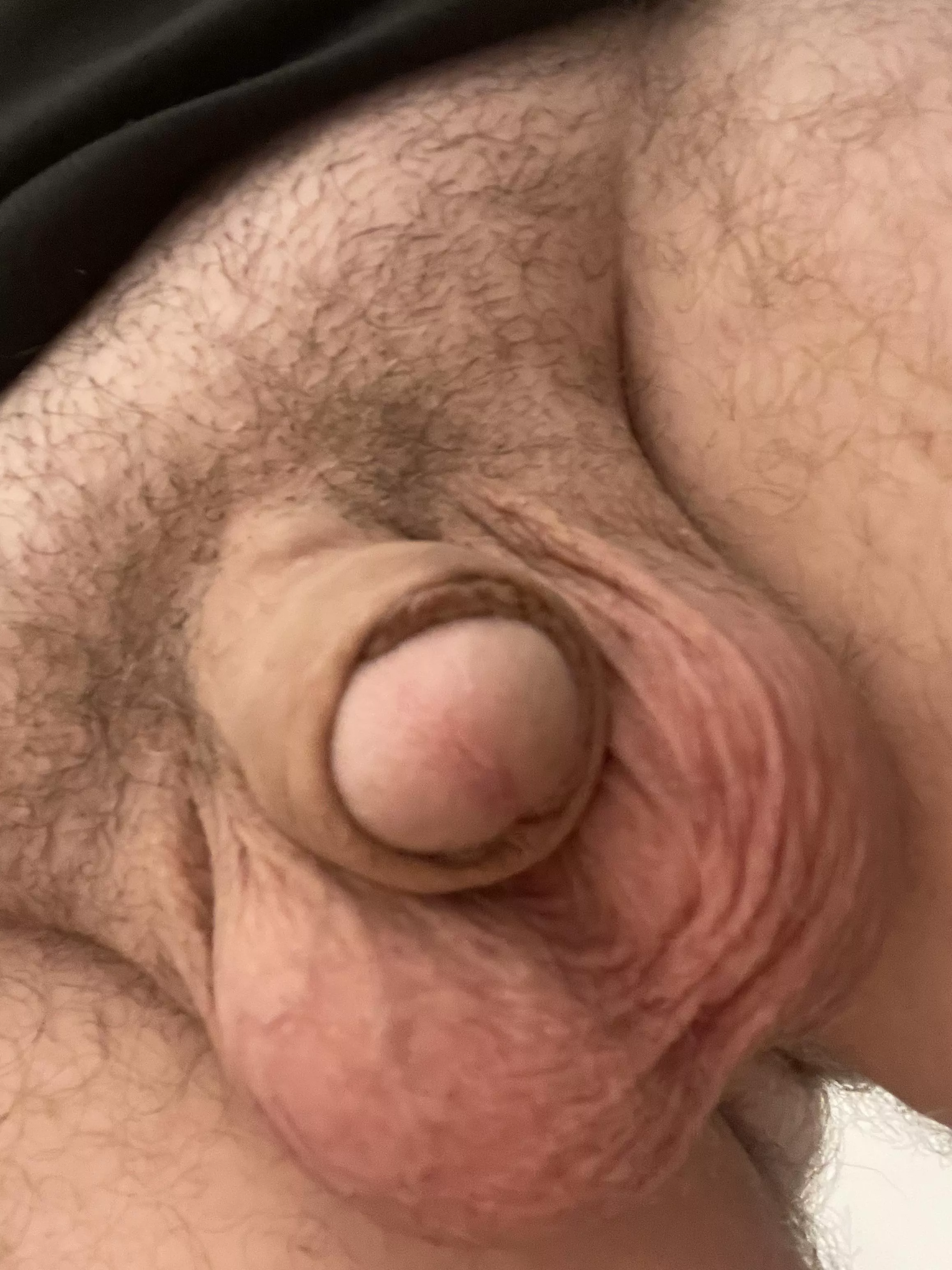 [27] tiny dick when soft. Thoughts?