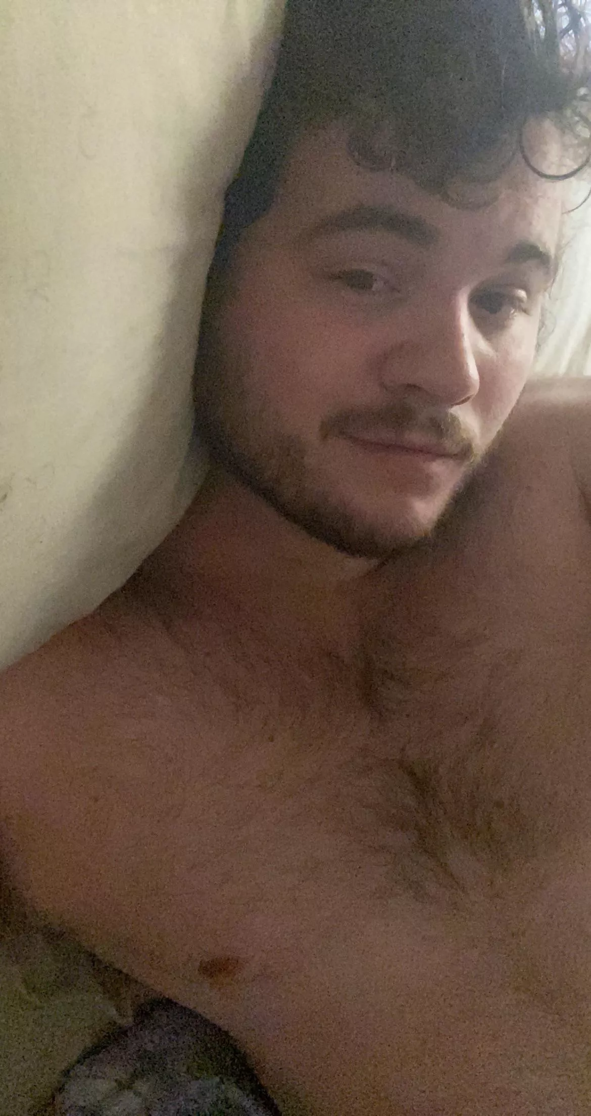 28 [m4m]bicurious husky n hairy guy here. Into yngr. Can show face, full body but canâ€™t be too loud. Roommate is across the hall studying. Letâ€™s have some fun! SN: jwilliam92 HMU