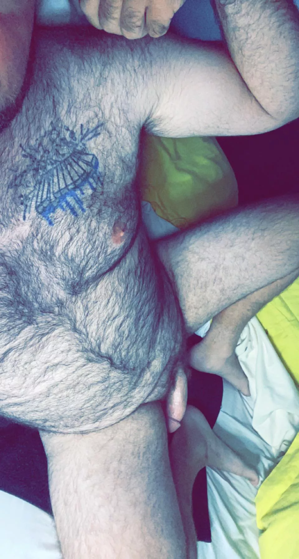 28 (soft in pic), hairy bear daddy. Trying to find serious chaser boyfriend.