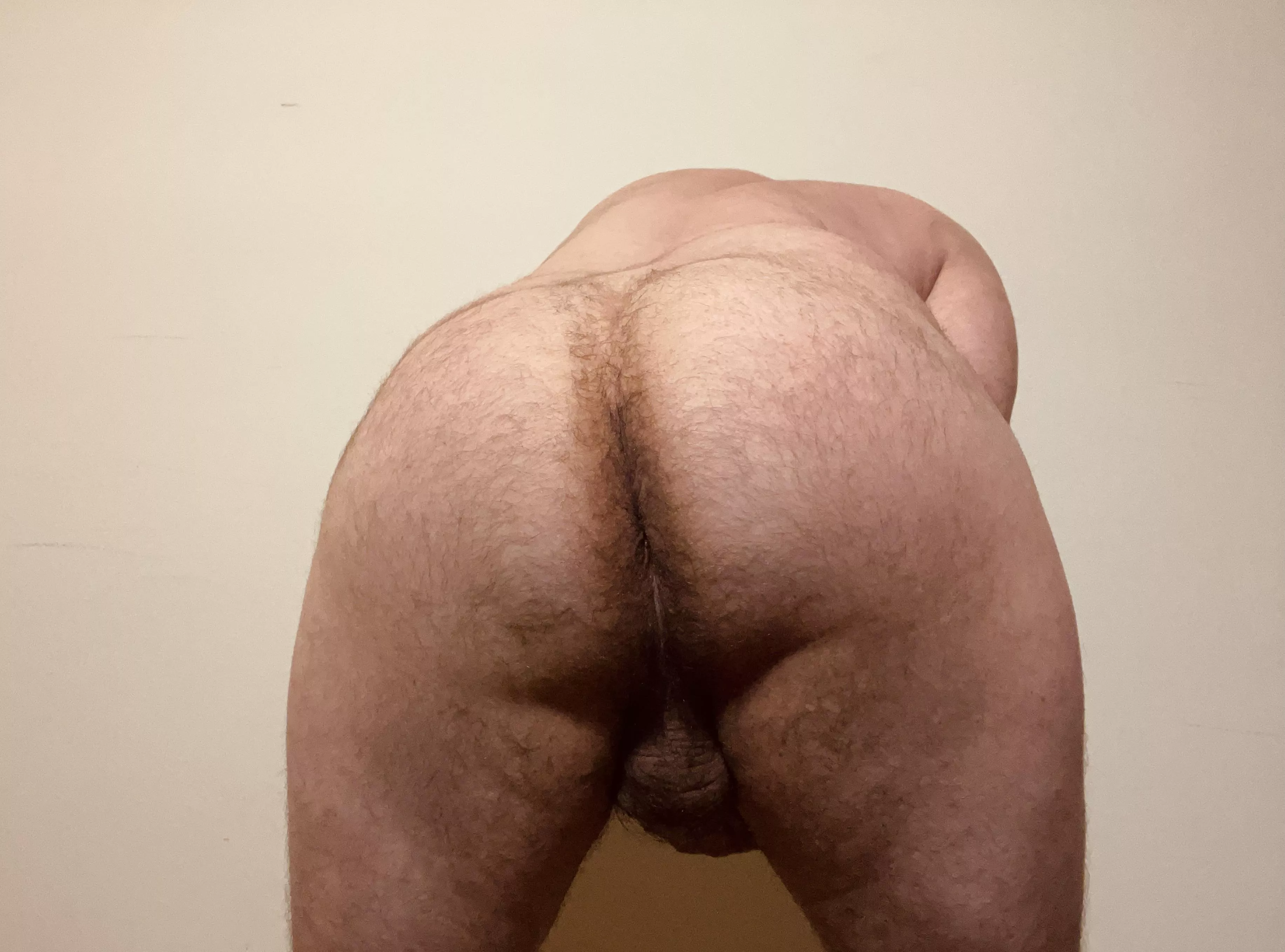 (28 yr) hairy cub here with a fuzzy ass. Any chubby daddies like it? Dm me