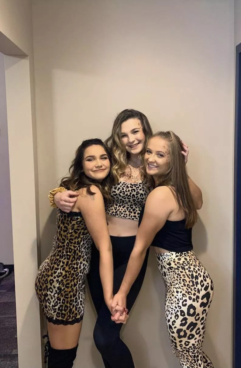 [3] pretty kitties