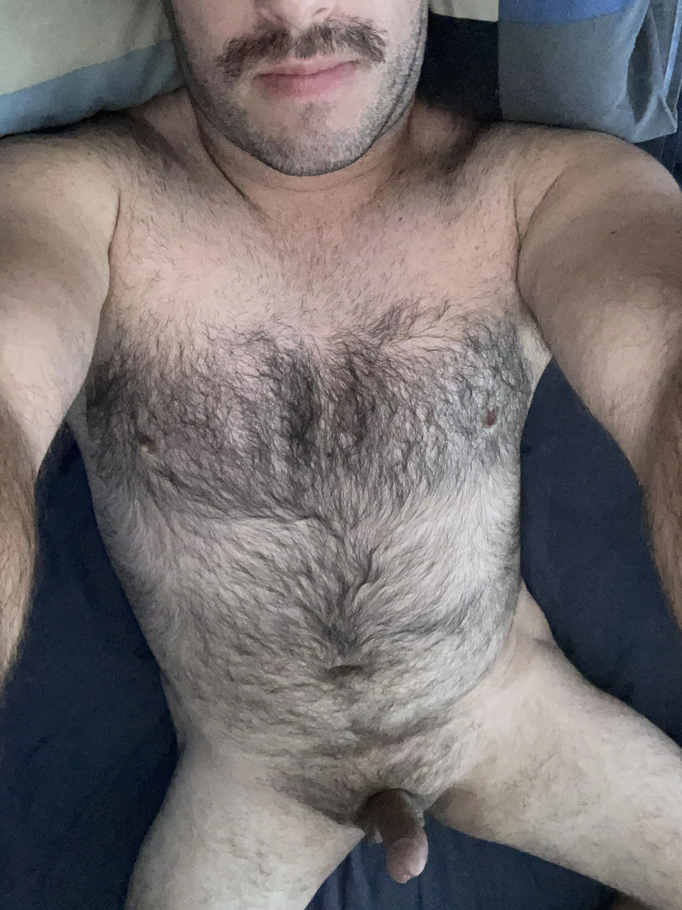 30yr old Aussie bi bear, tell me what you think. DM’s open, snap on profile too ;)