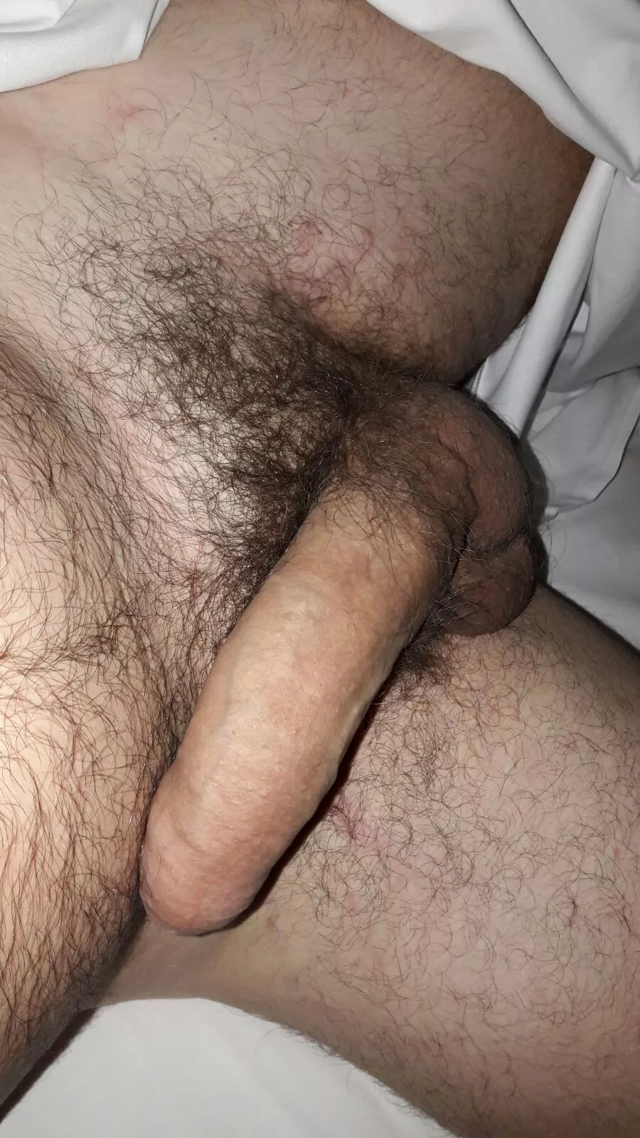 33, Gay, Dutch. Be hairy, have a bush, under 35 and happy! 😊👌🏻🥳