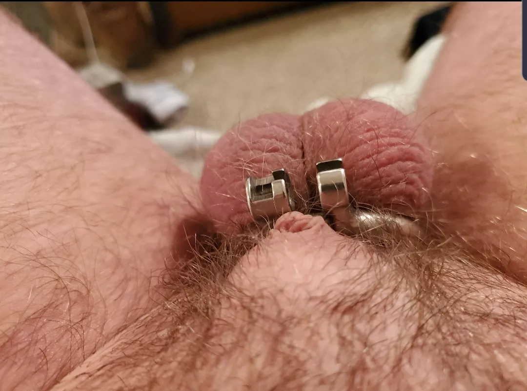 [34] I just learned I'm too small for the chastity, in case you were wondering, I am circumcised.