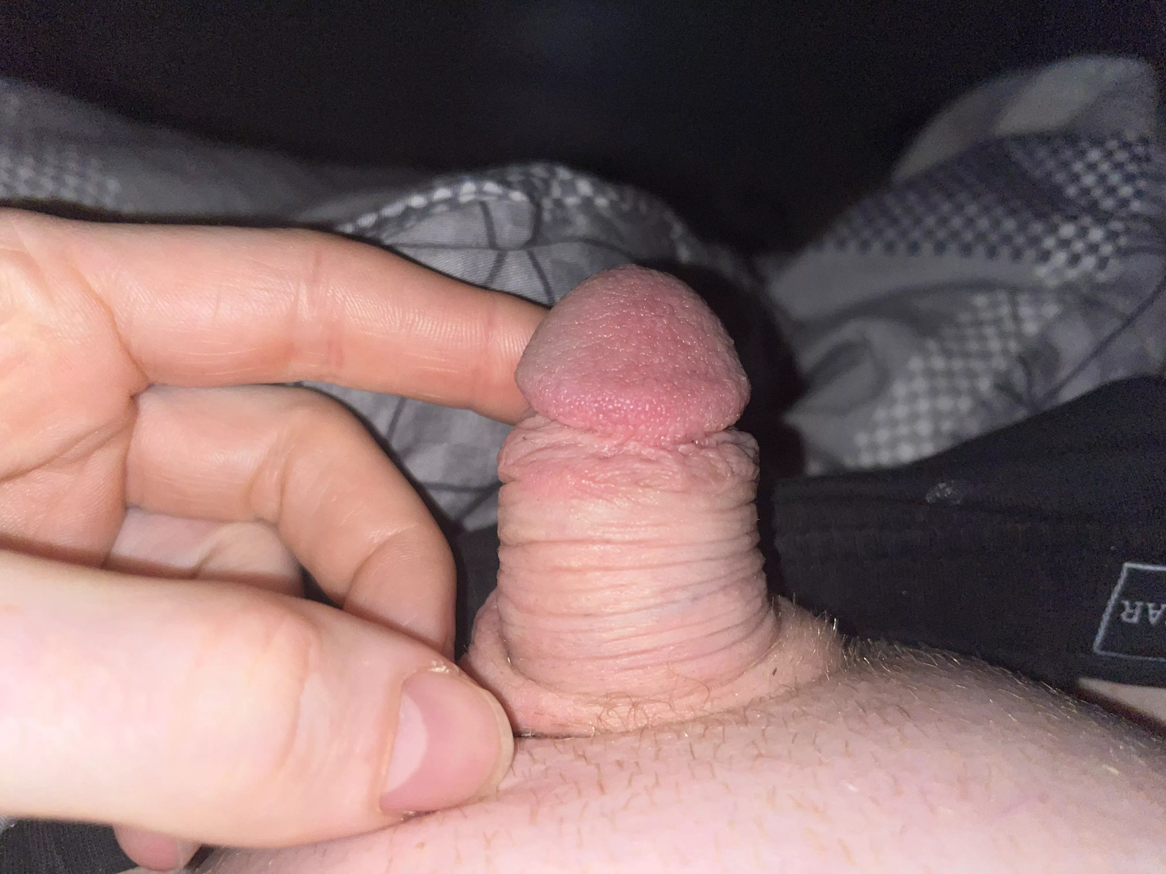 [34] my cock when it’s soft … would you call it tiny?