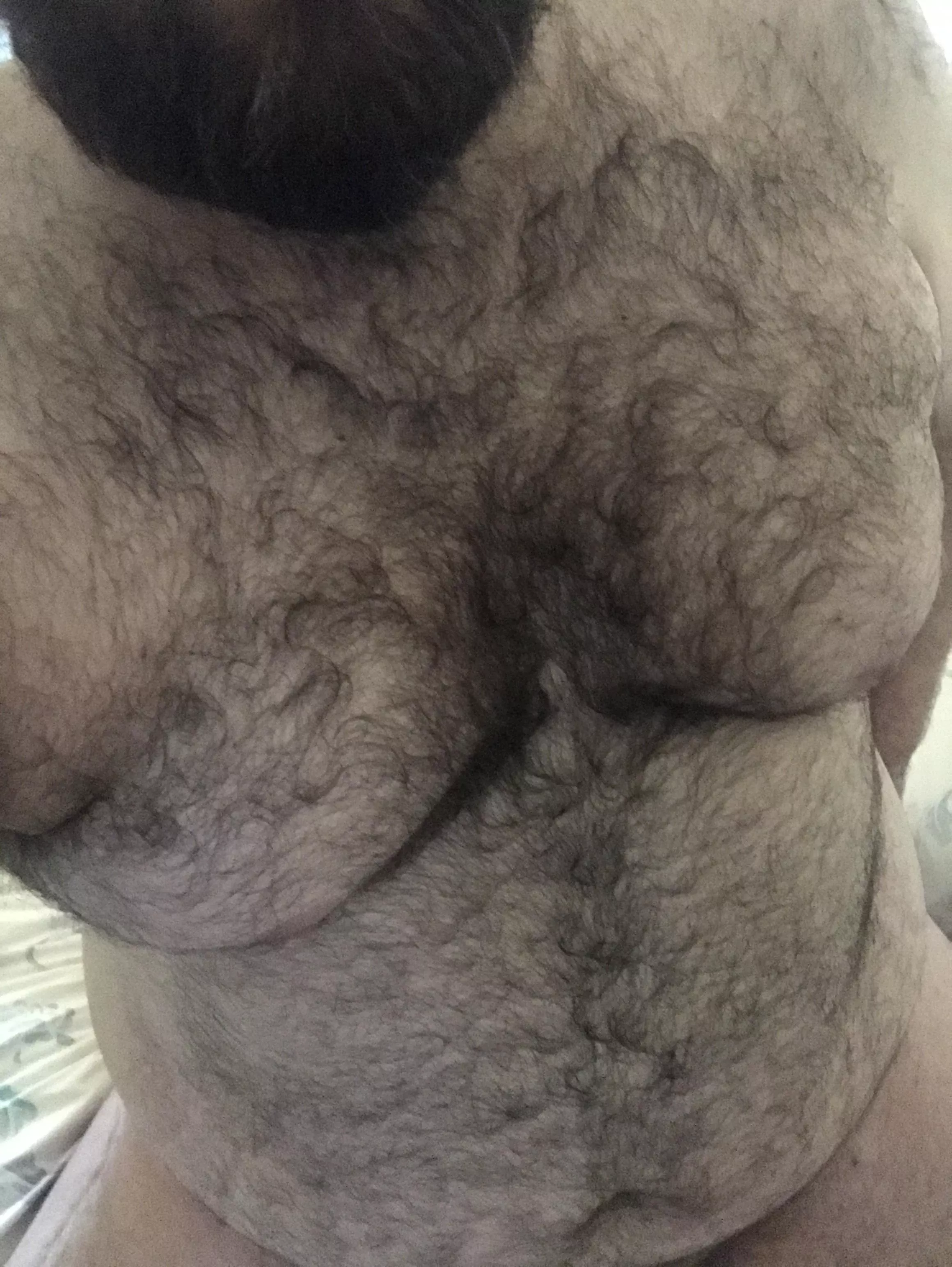 36 bearded chub dying for a buddy to share live nudes with talking me into sucking cock for the first time…live pics sharing required