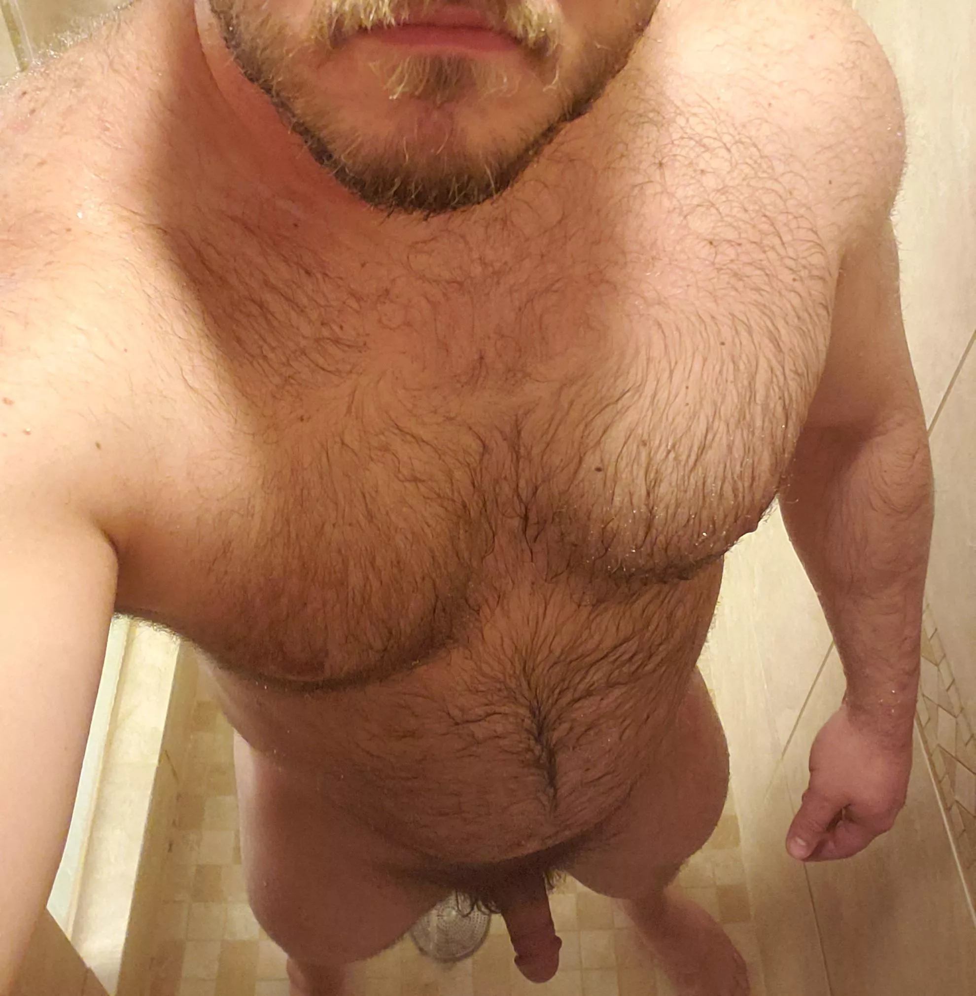 [37] is a shower wild?