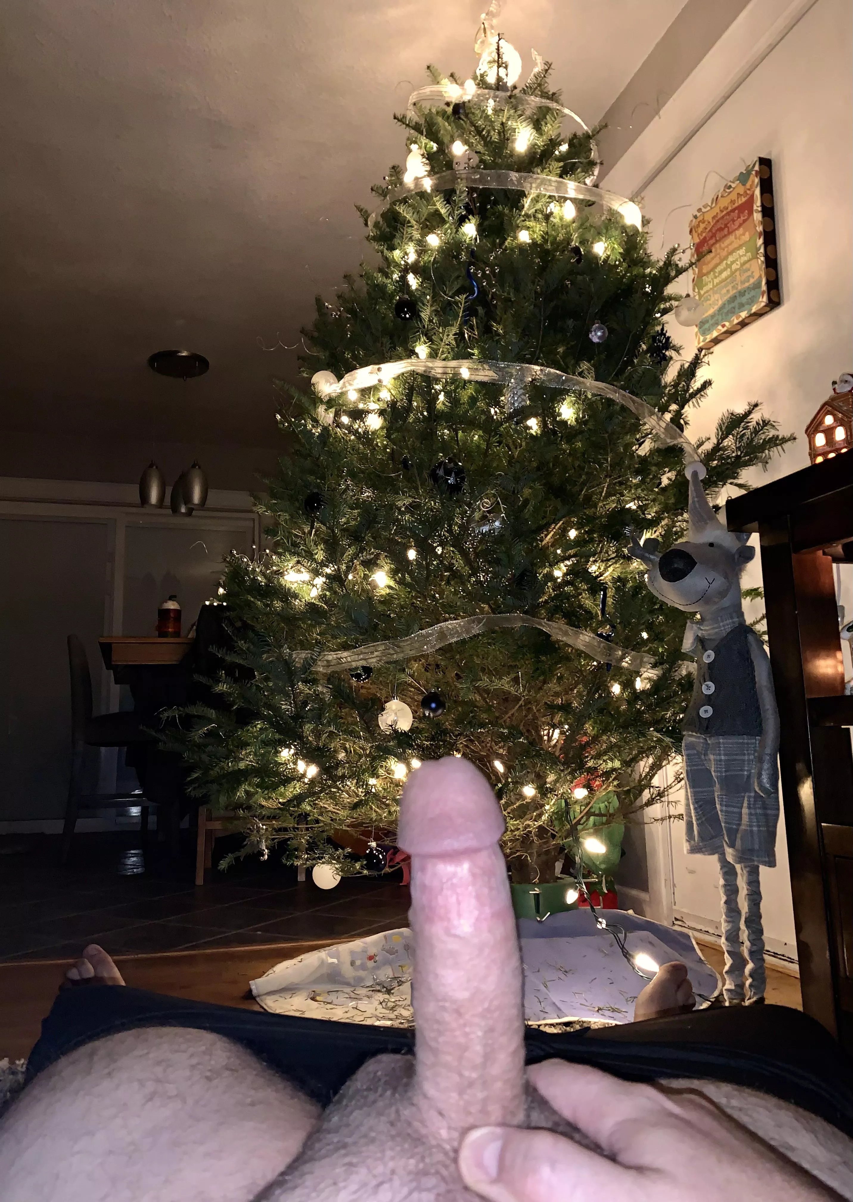 (42) Christmas tree is up, and thereâ€™s already one present under the tree. Do you want it wrapped or nah?!?