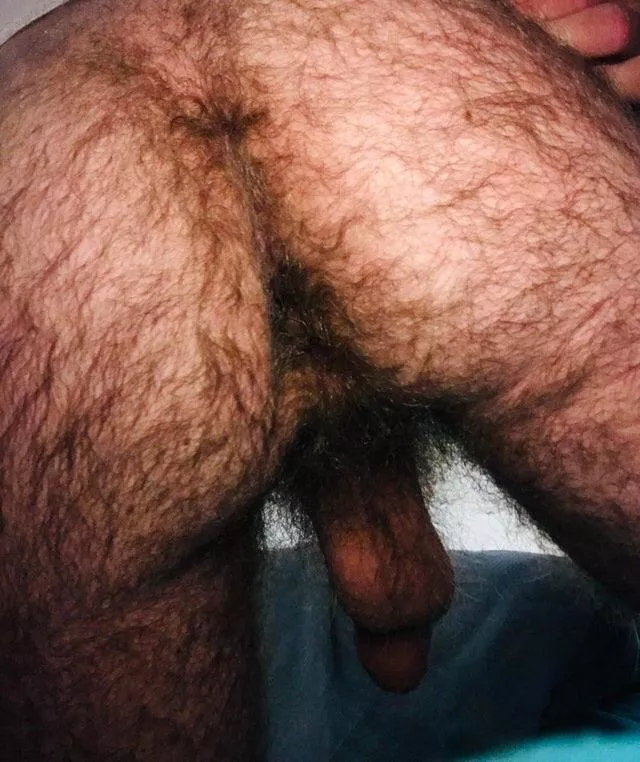 (48) Feel my hairy arse.