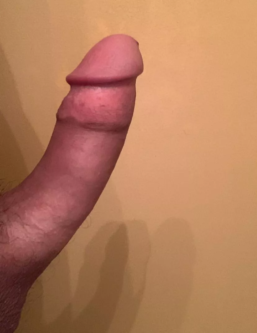 5 and a half inchesâ€¦is it big enough?