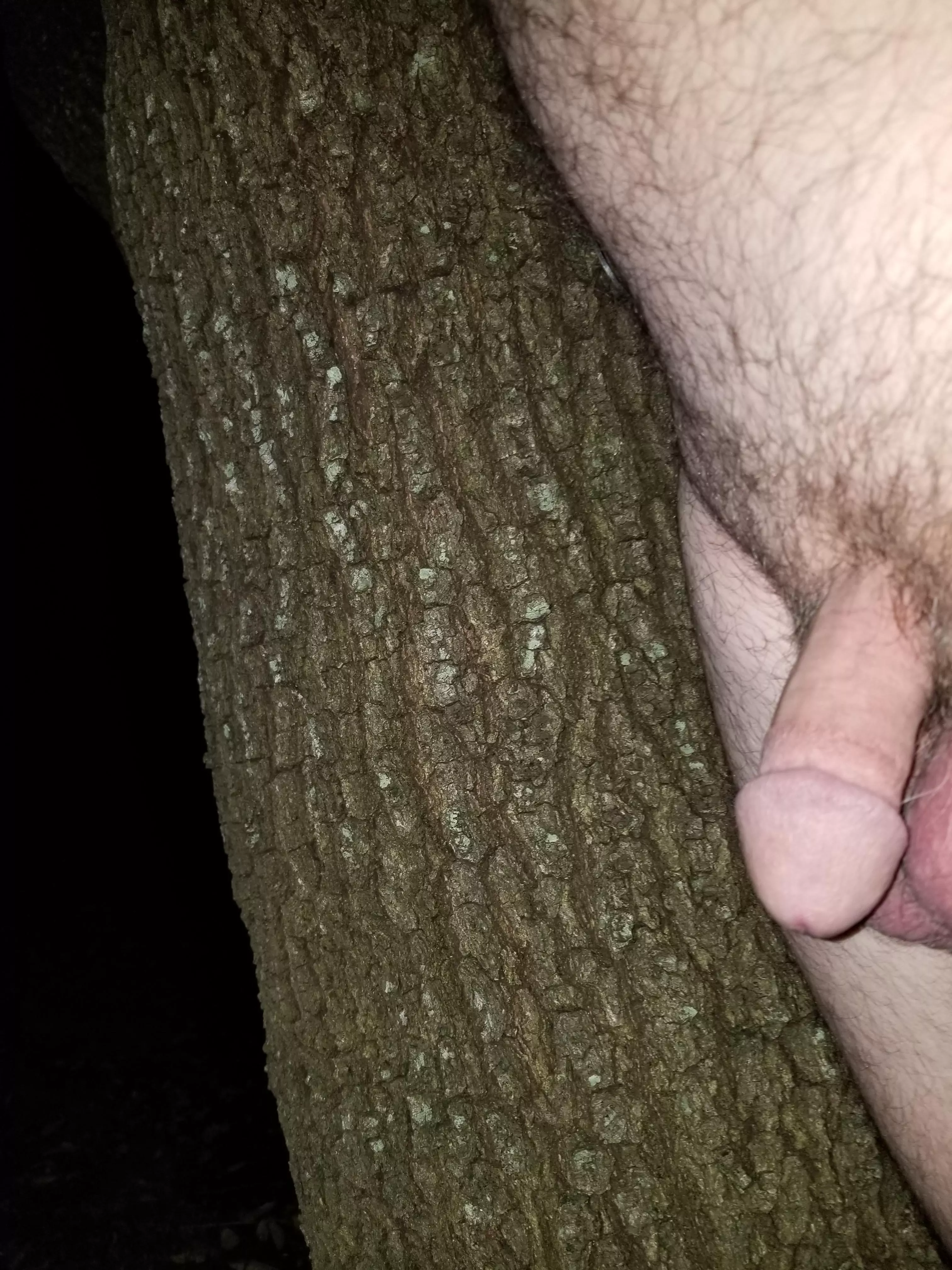 [55] Big Tree...small cock. Looking to chat. DMs open.