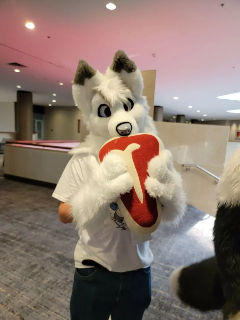 A bit late but here is me in my partial fursuit at TTFC!