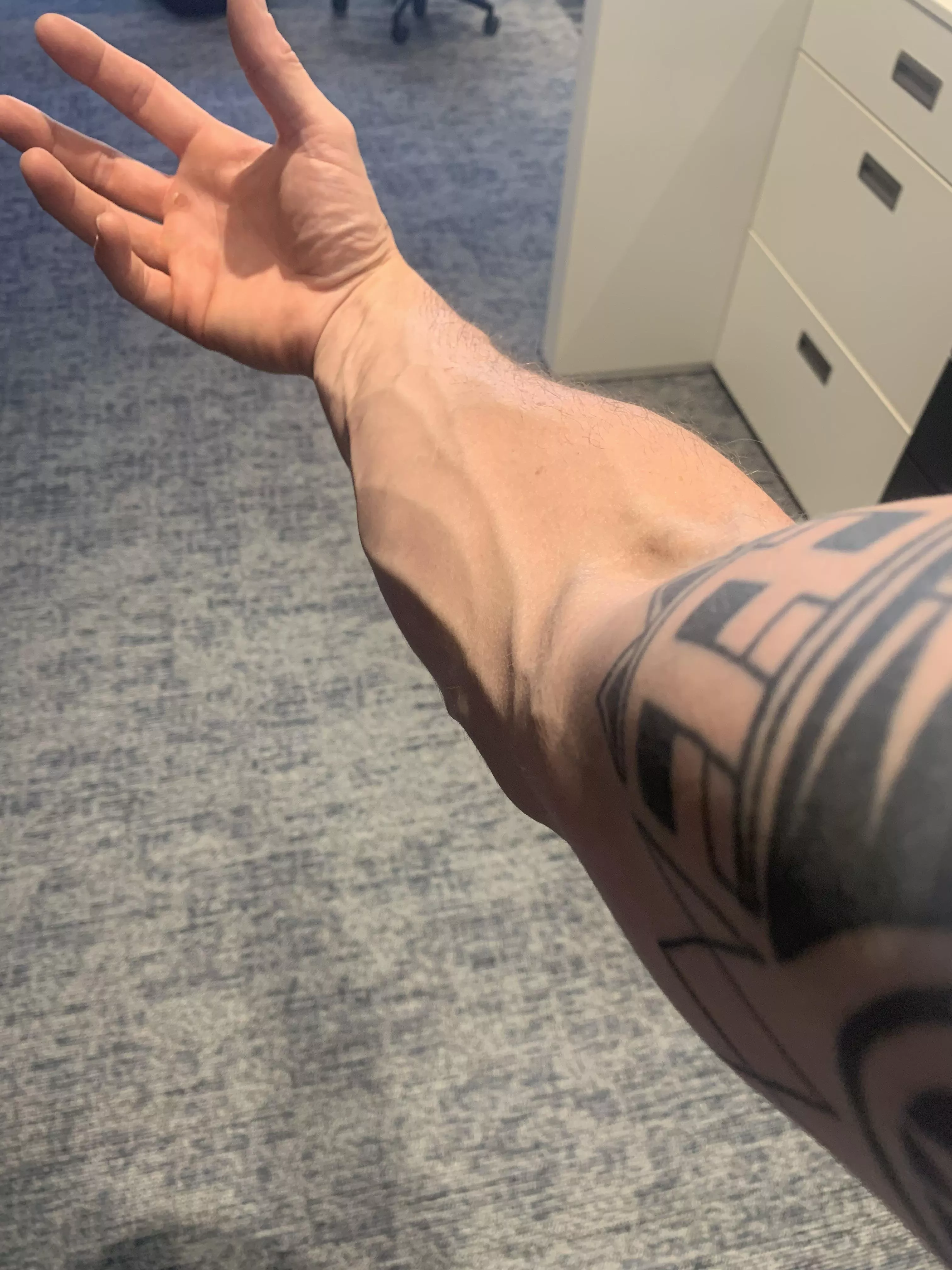 A certain someone told me my forearms would be appreciated. I used to be ashamed for my veins when I was younger ðŸ™ˆ 35M