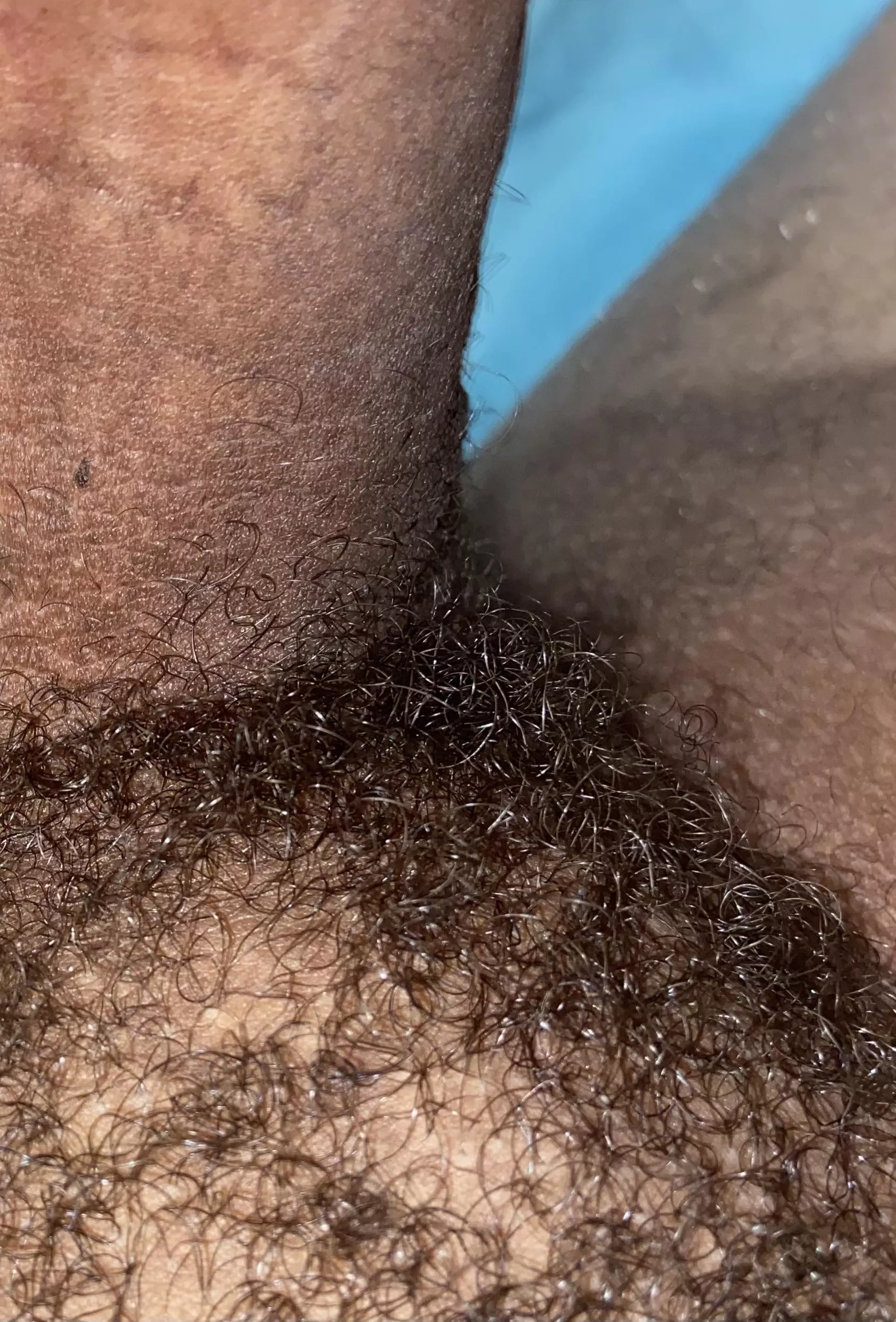 A close up of my bush (19)