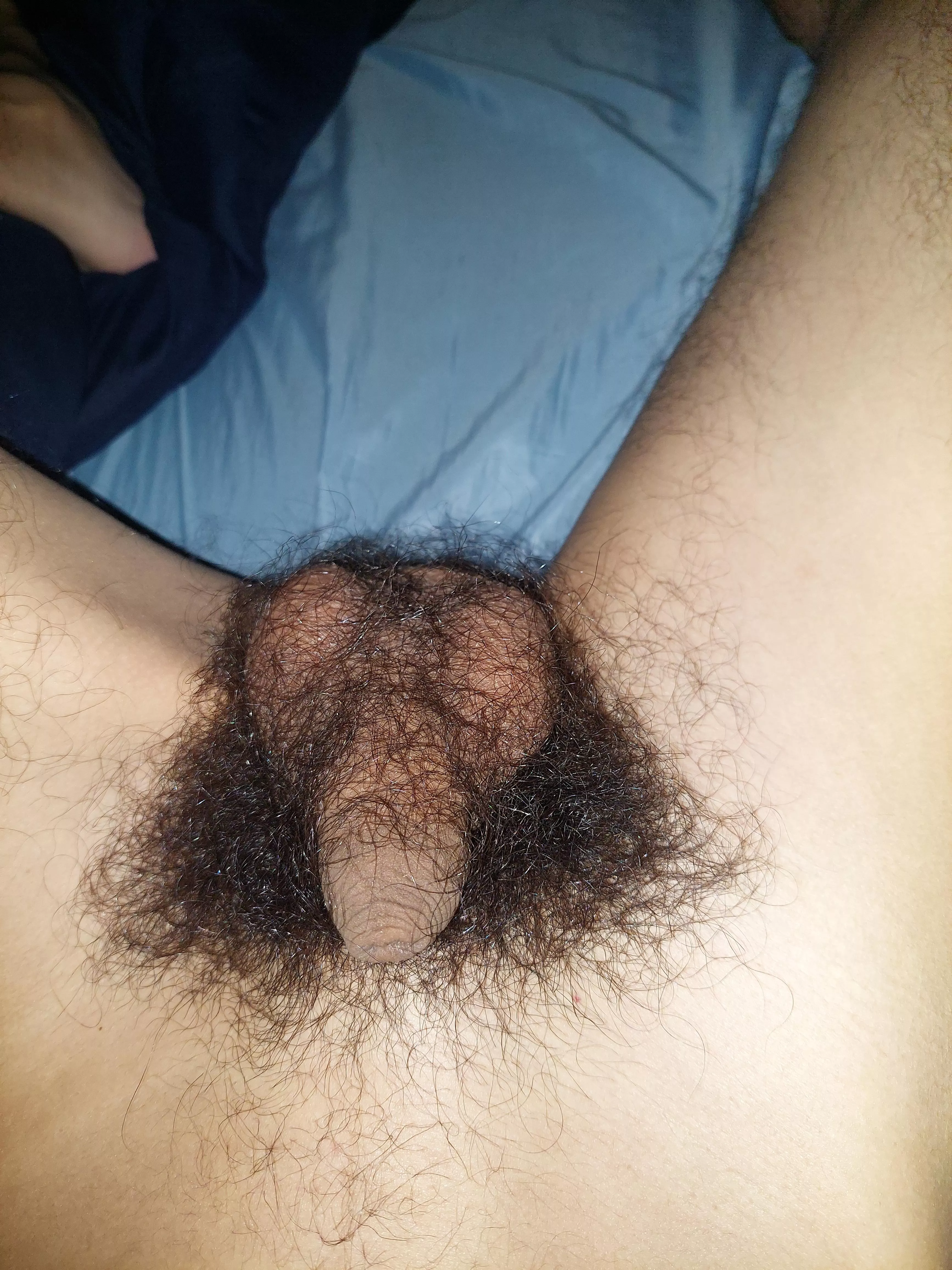 A hairy softy for the fans