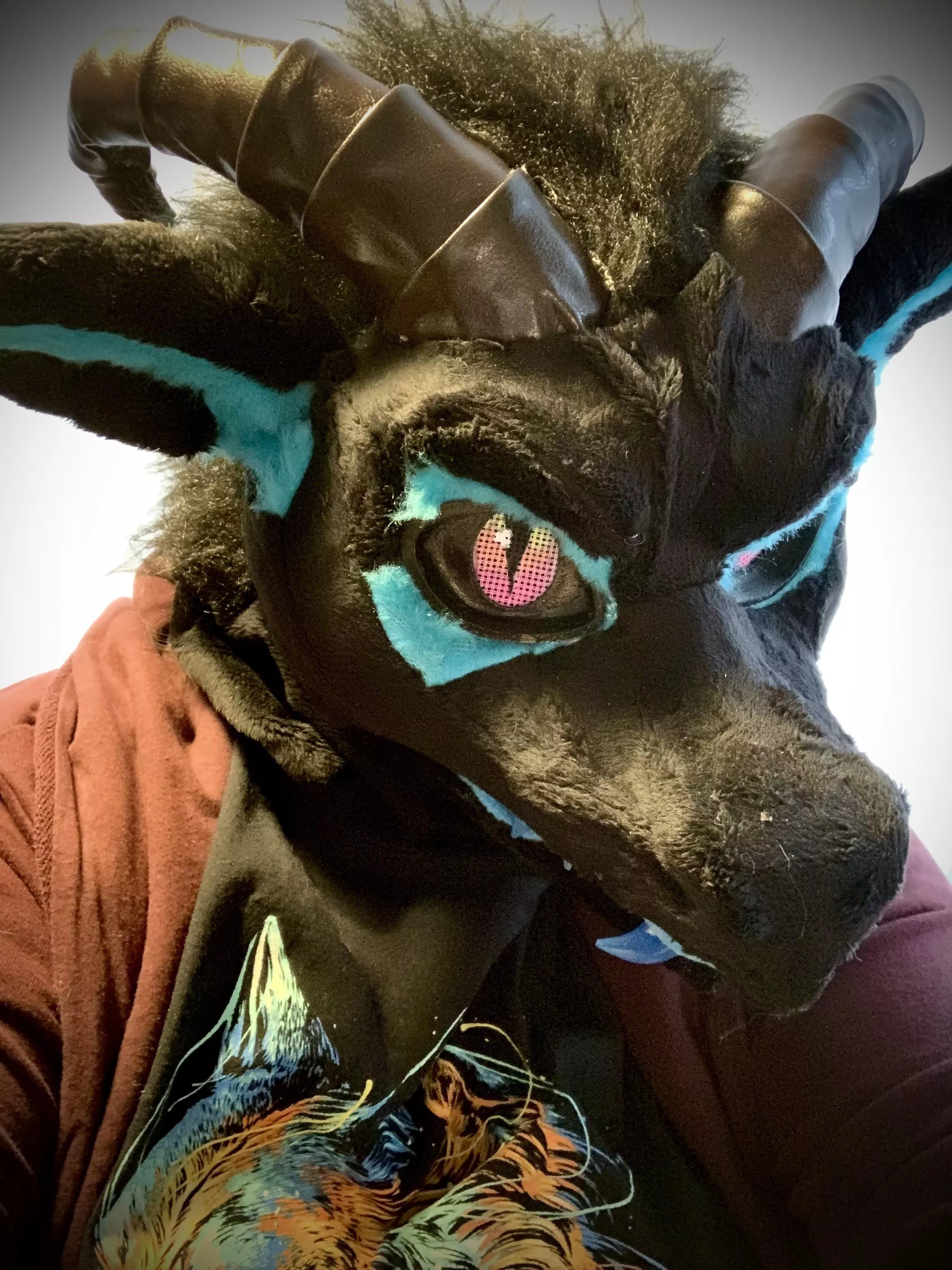 A little late for fursuit Friday, but here I am