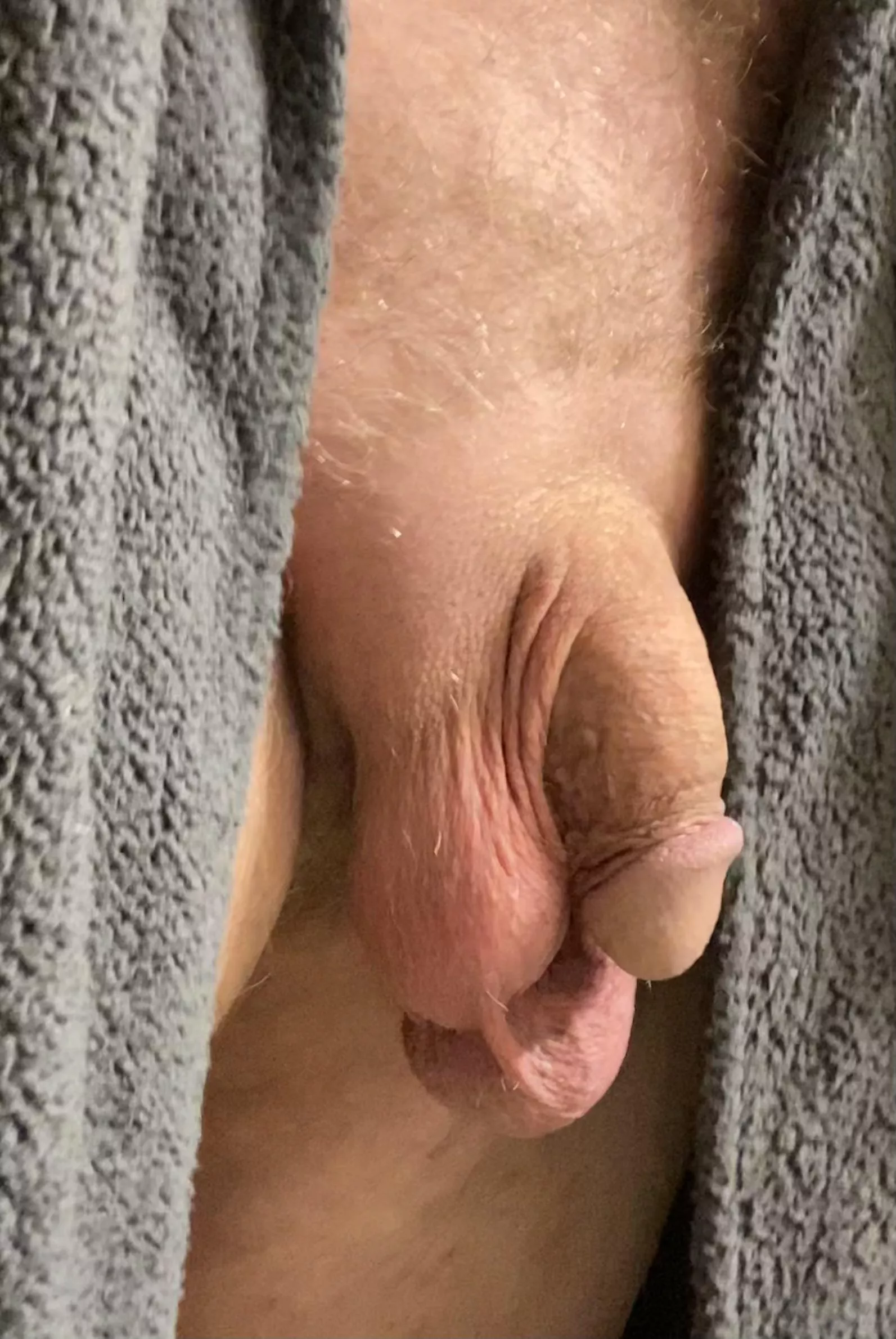 A trimmed up flaccid cock