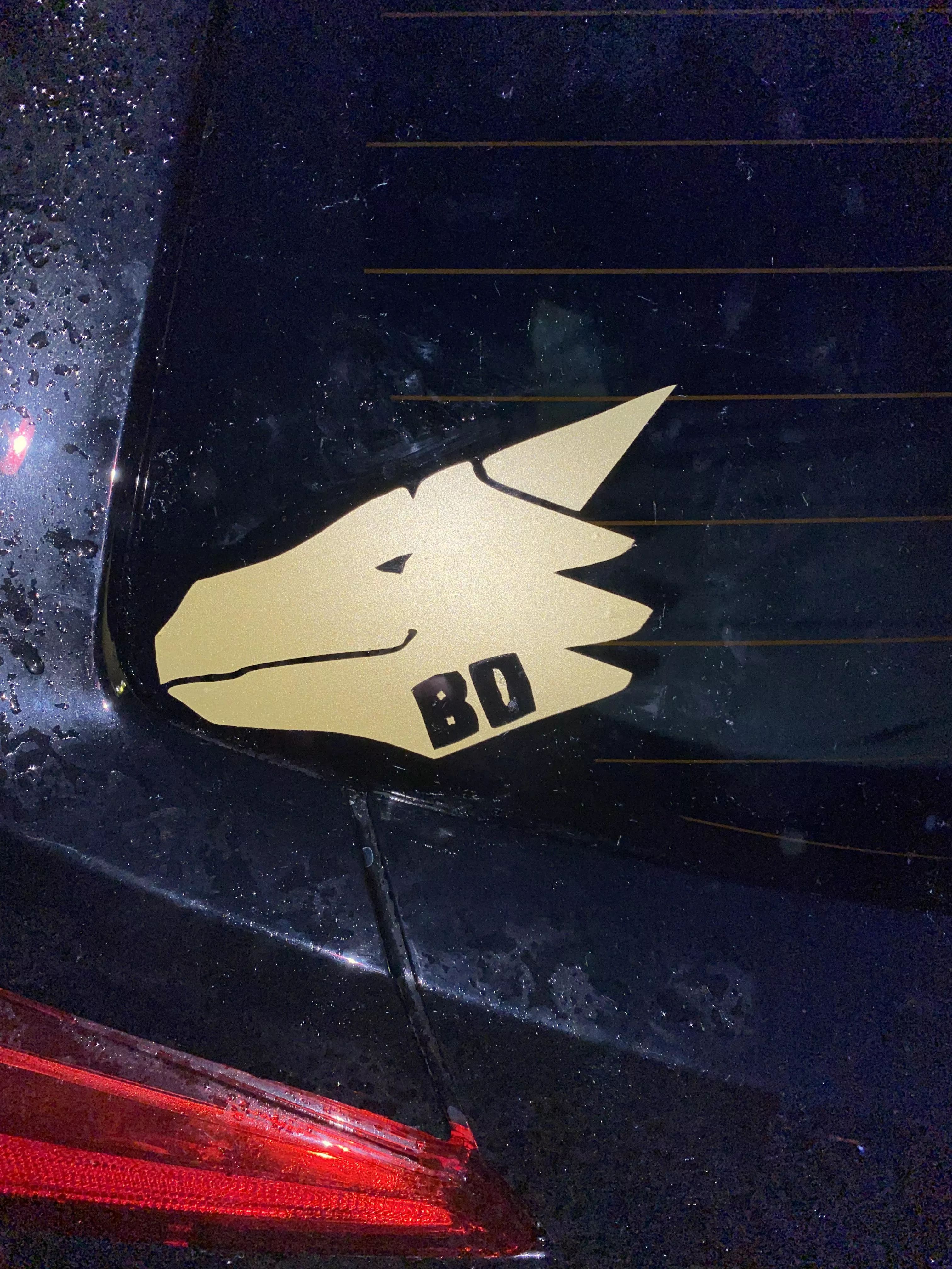 Added a New decal on my new car