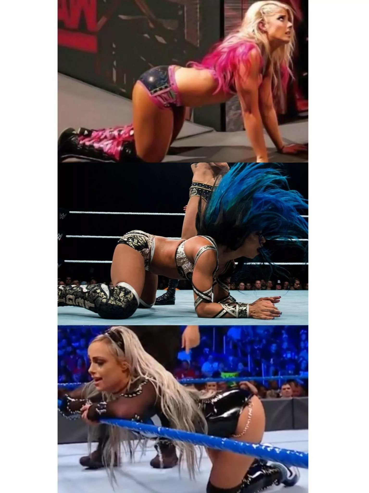 Alexa, Sasha and Liv in doggy