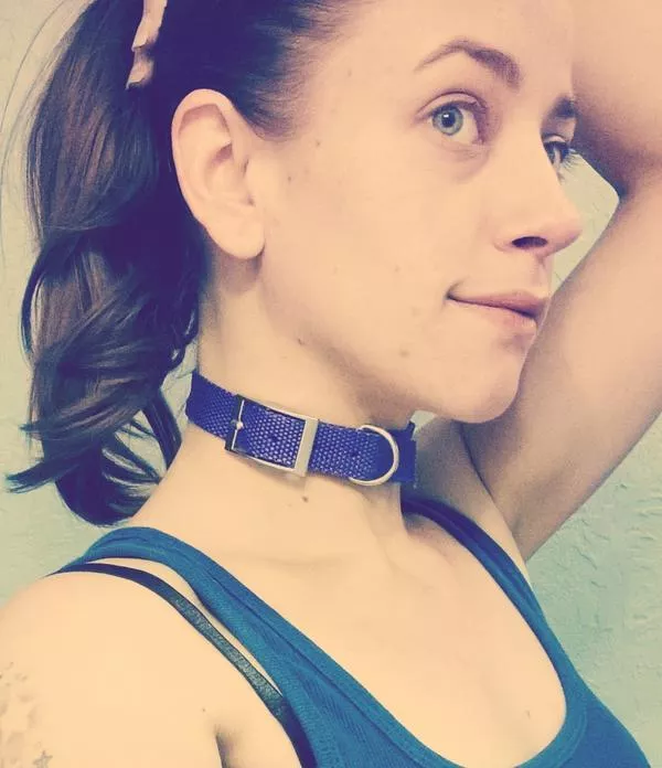 Already got my collar. Who wants to put me on a leash?