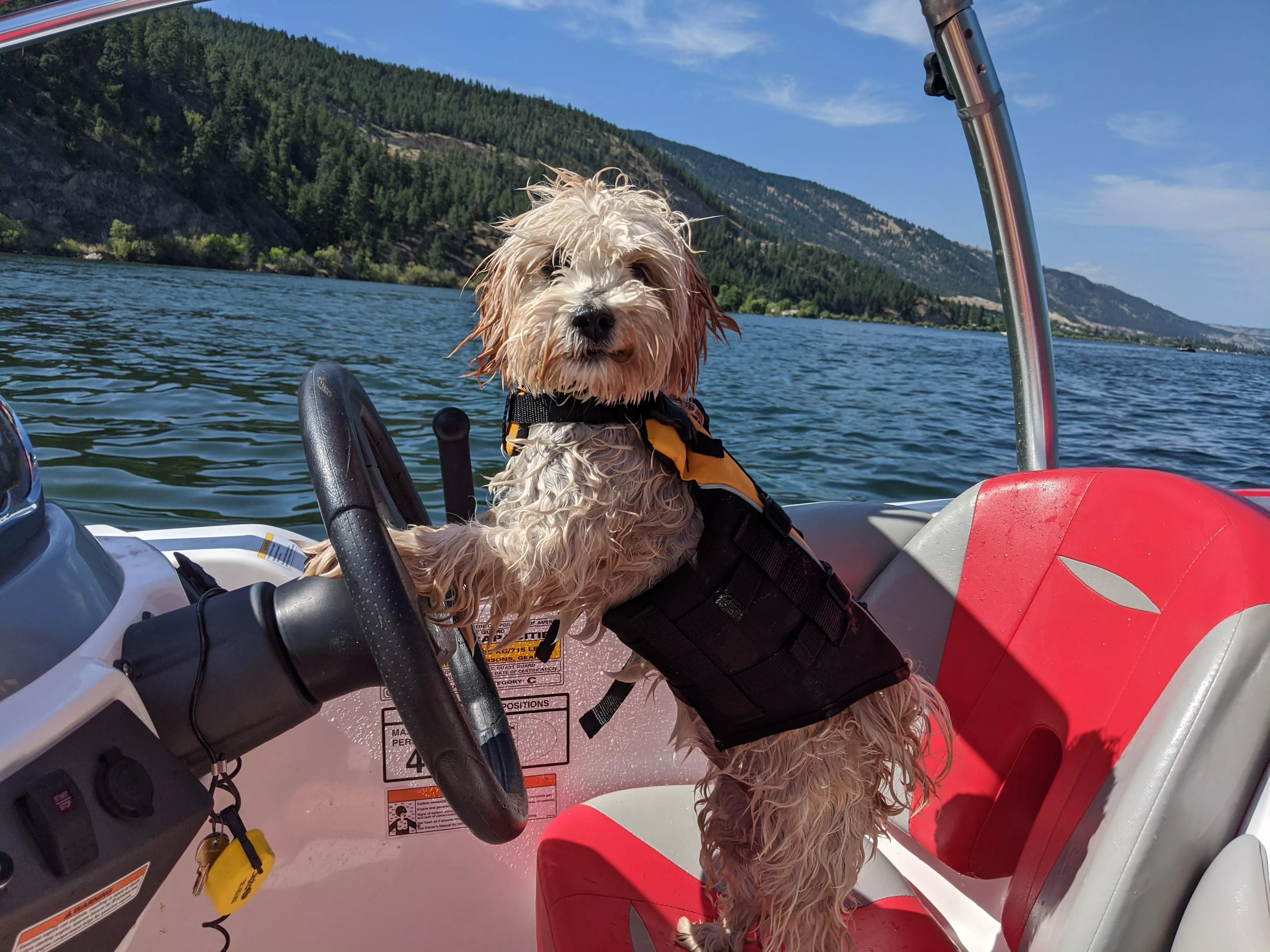 Always wear your life jacket when piloting the boat!