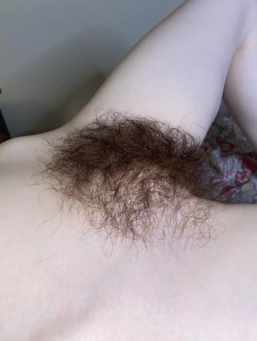 Am I hairy enough for you?