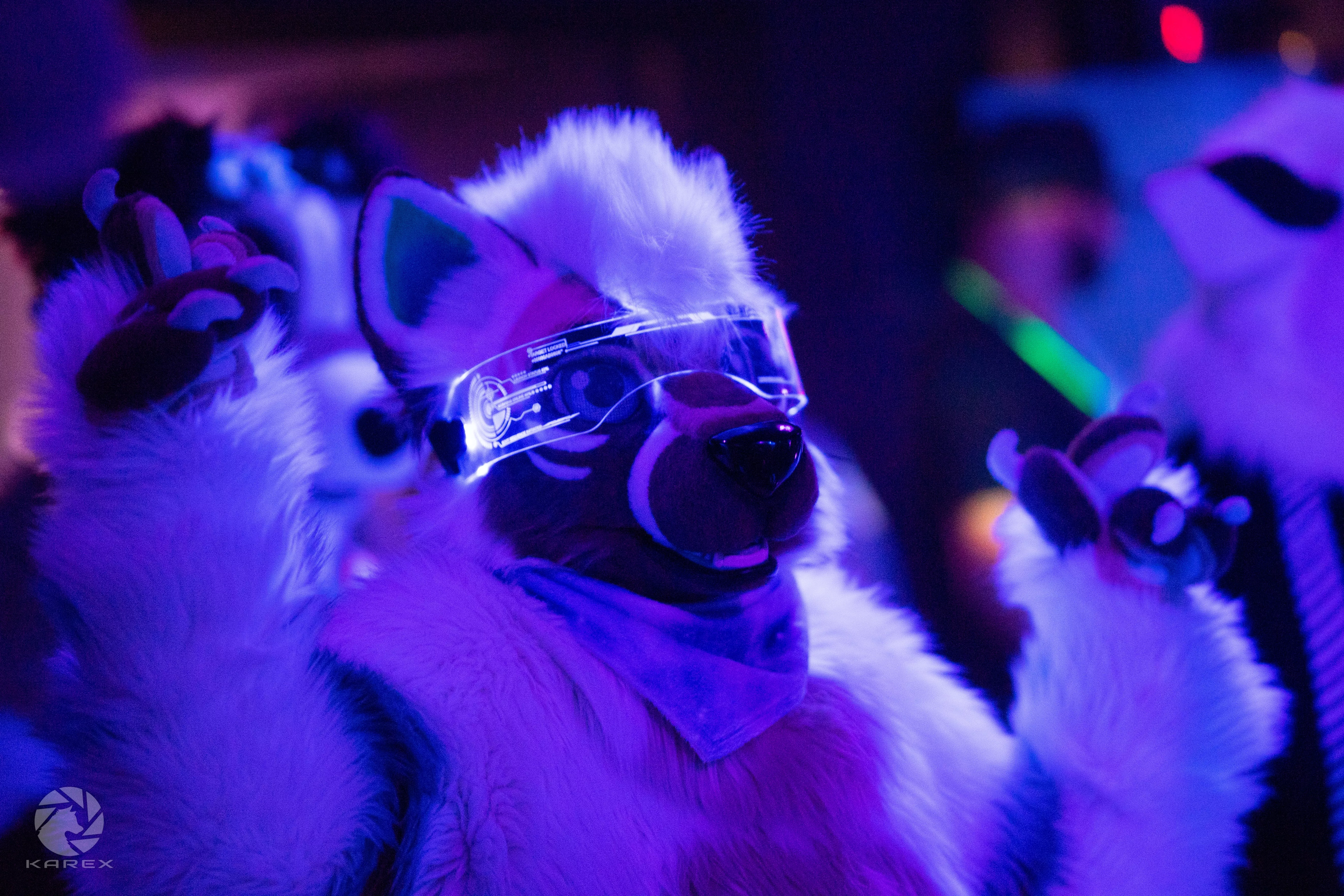 Ame on the Dancefloor at Furstrike! Have a fluffy Thursday ðŸ“¸ Karex