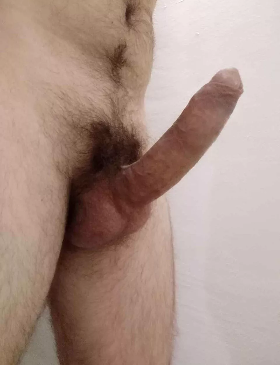 Any ladies willing to get a taste?