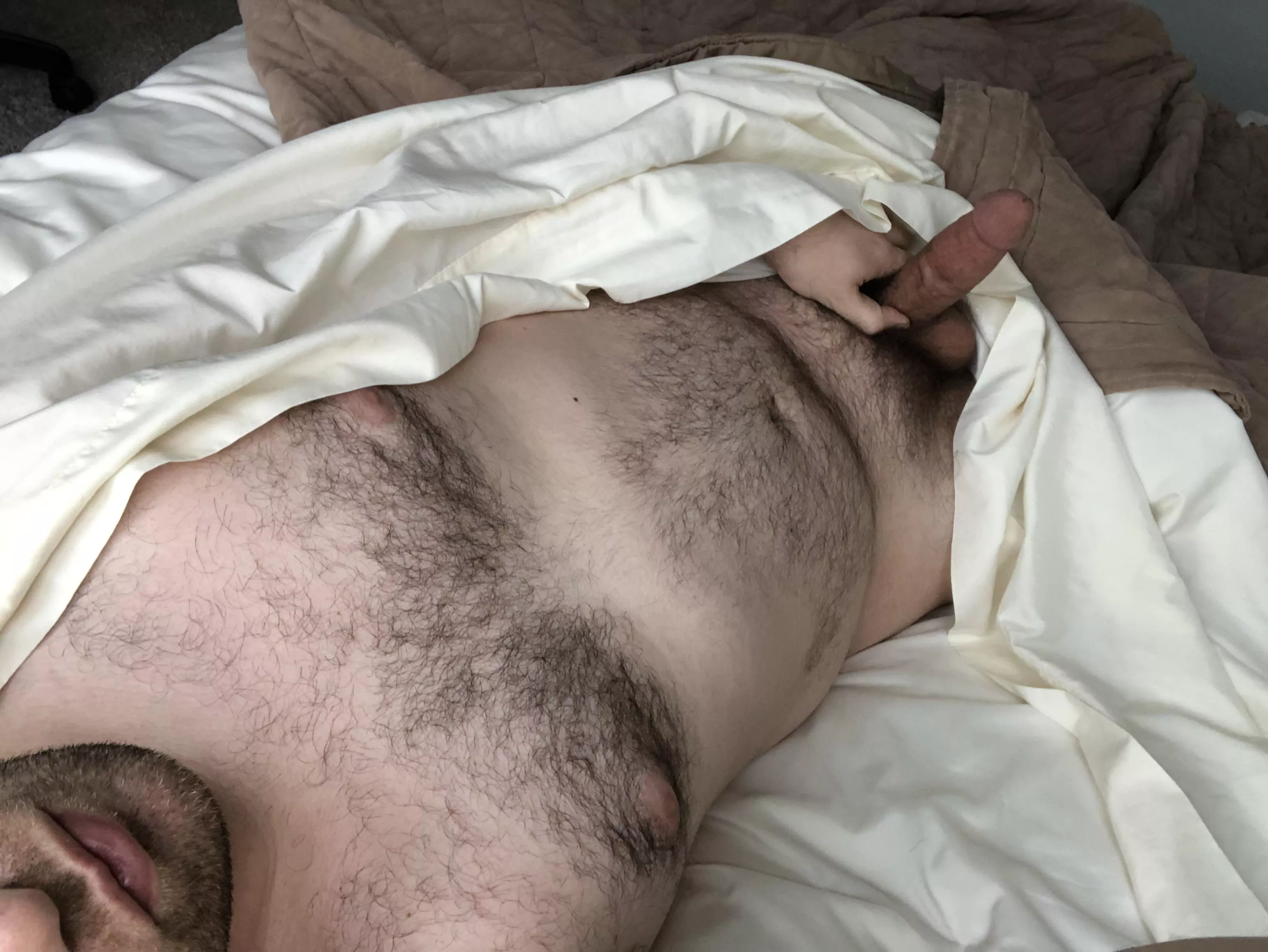 Anyone else get woken up by morning wood?