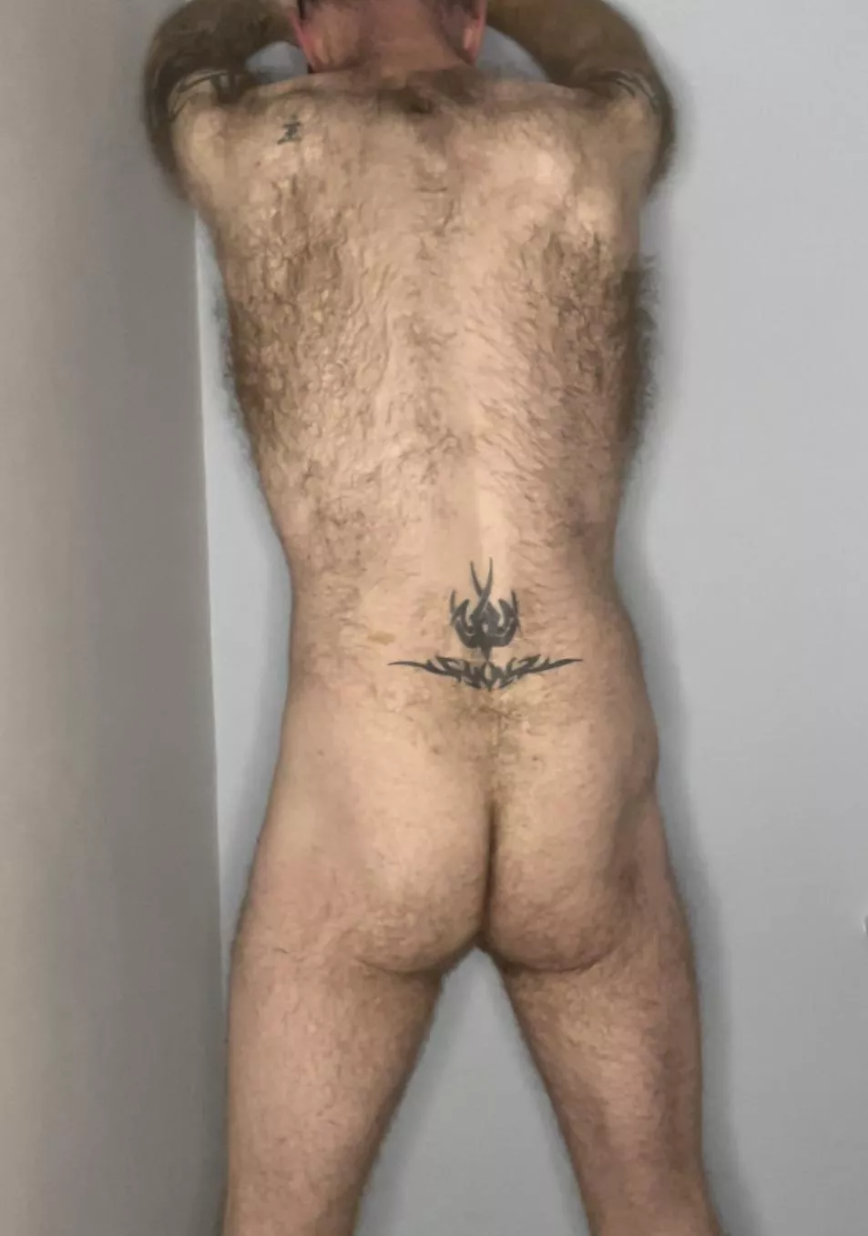 Anyone into hairy guys?