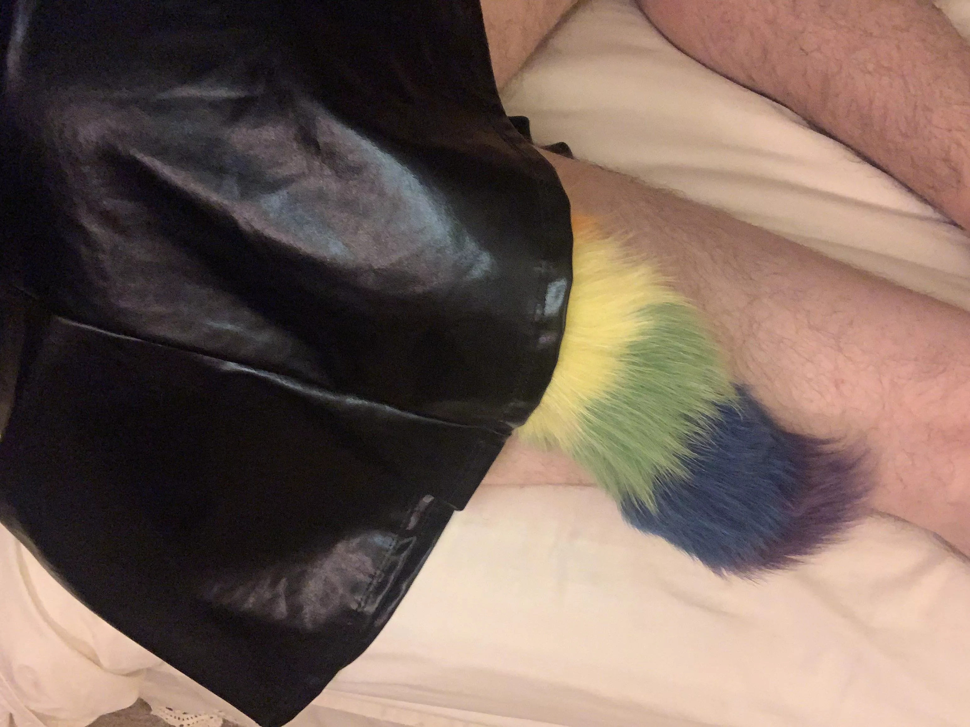 Anyone into sissyâ€™s with tails rainbow tails