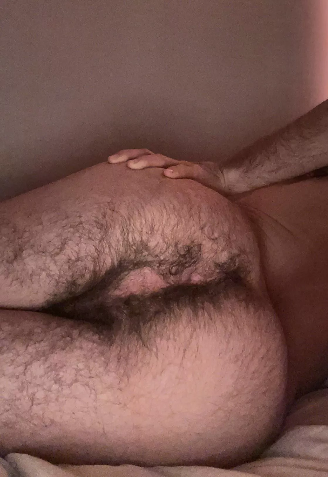 anyone like hairy asses?