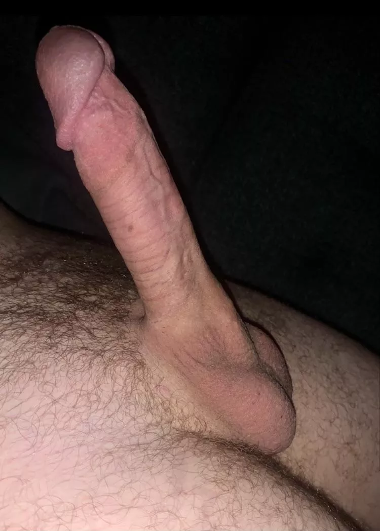 Anyone like the look of my late night hard-on?