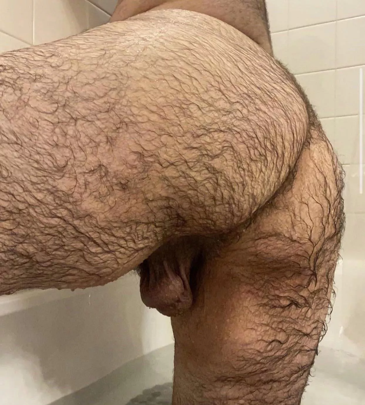 Anyone like wet hairy ass?