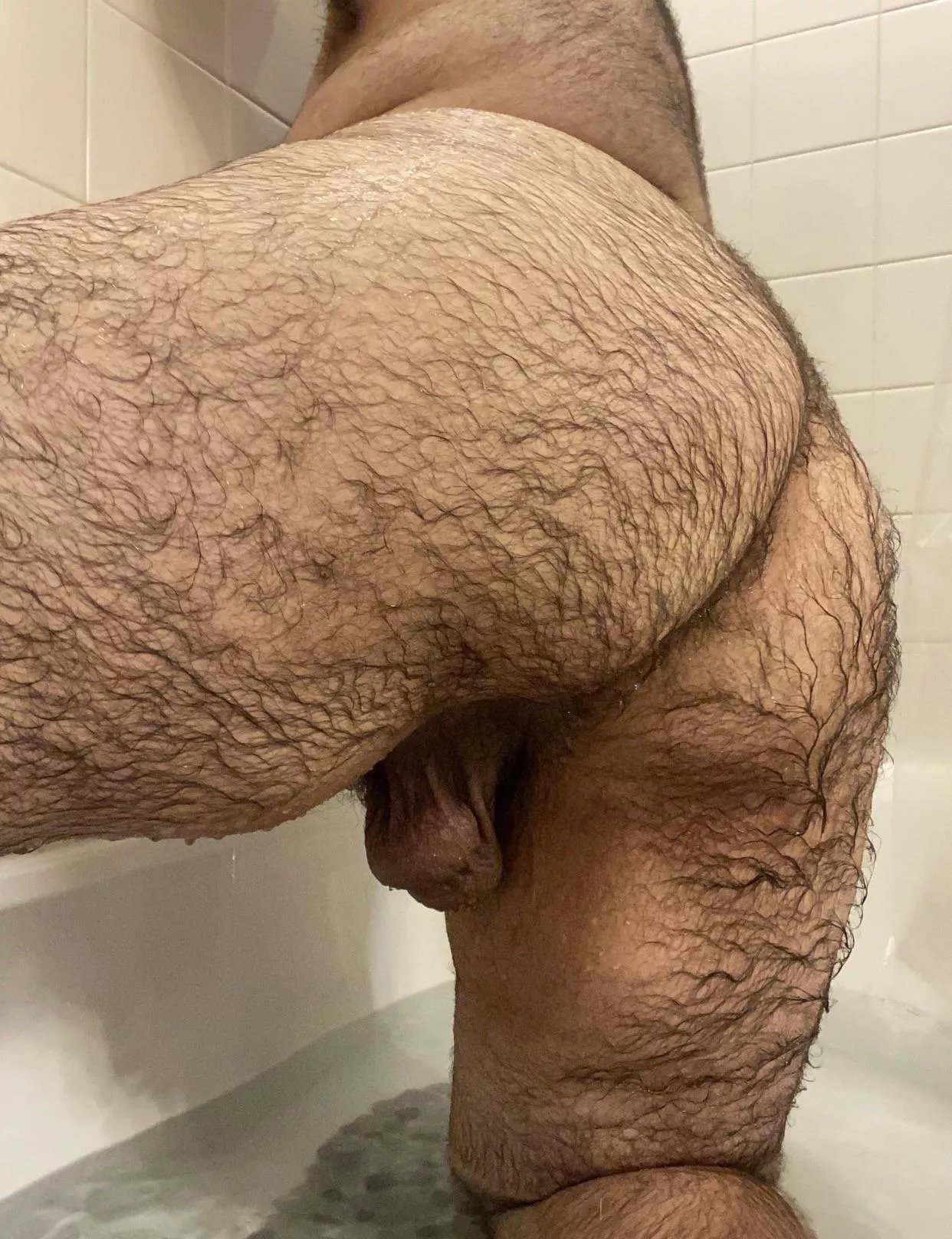 Anyone wanna have some hairy fun?